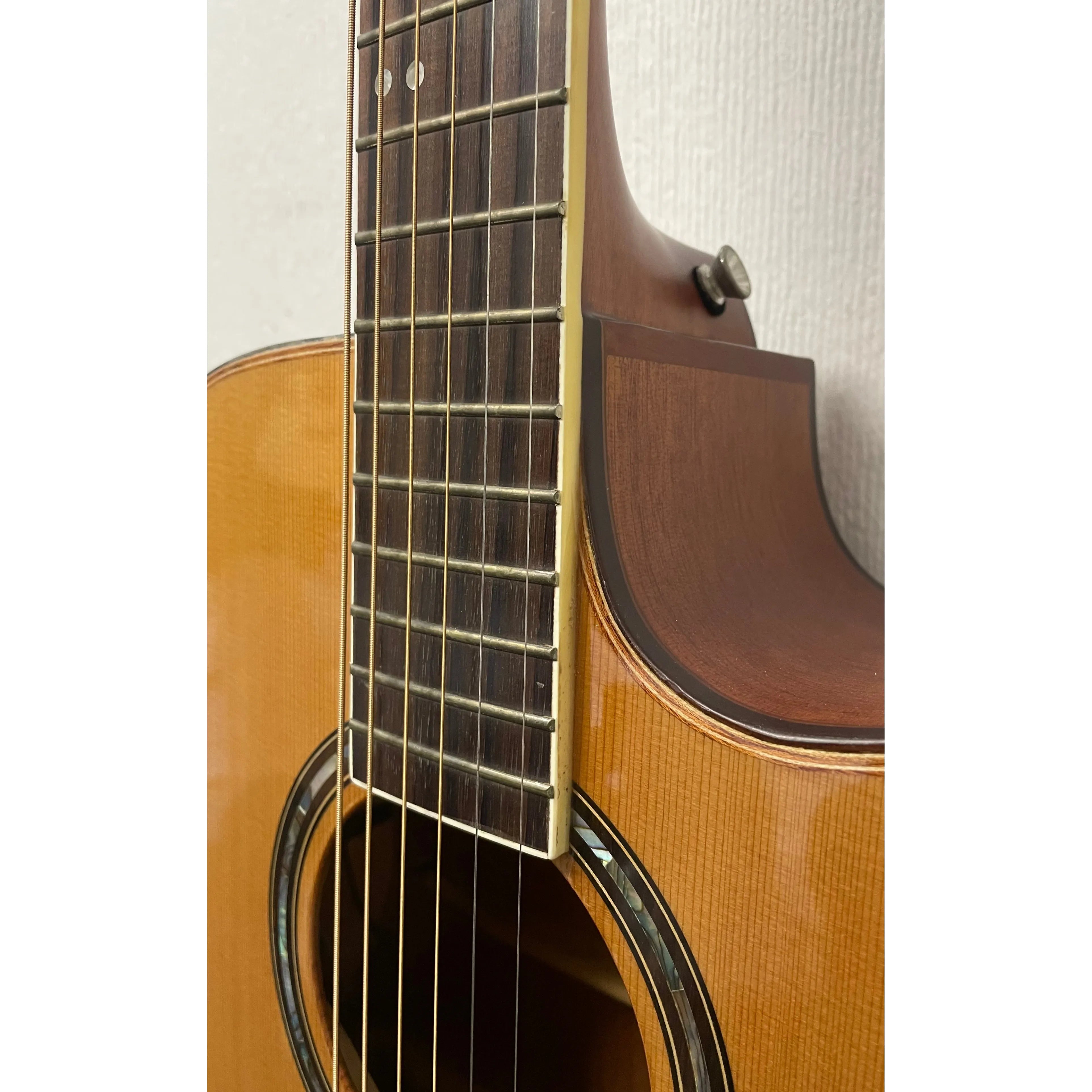 Turner Dreadnought 50CE Electro Acoustic Guitar