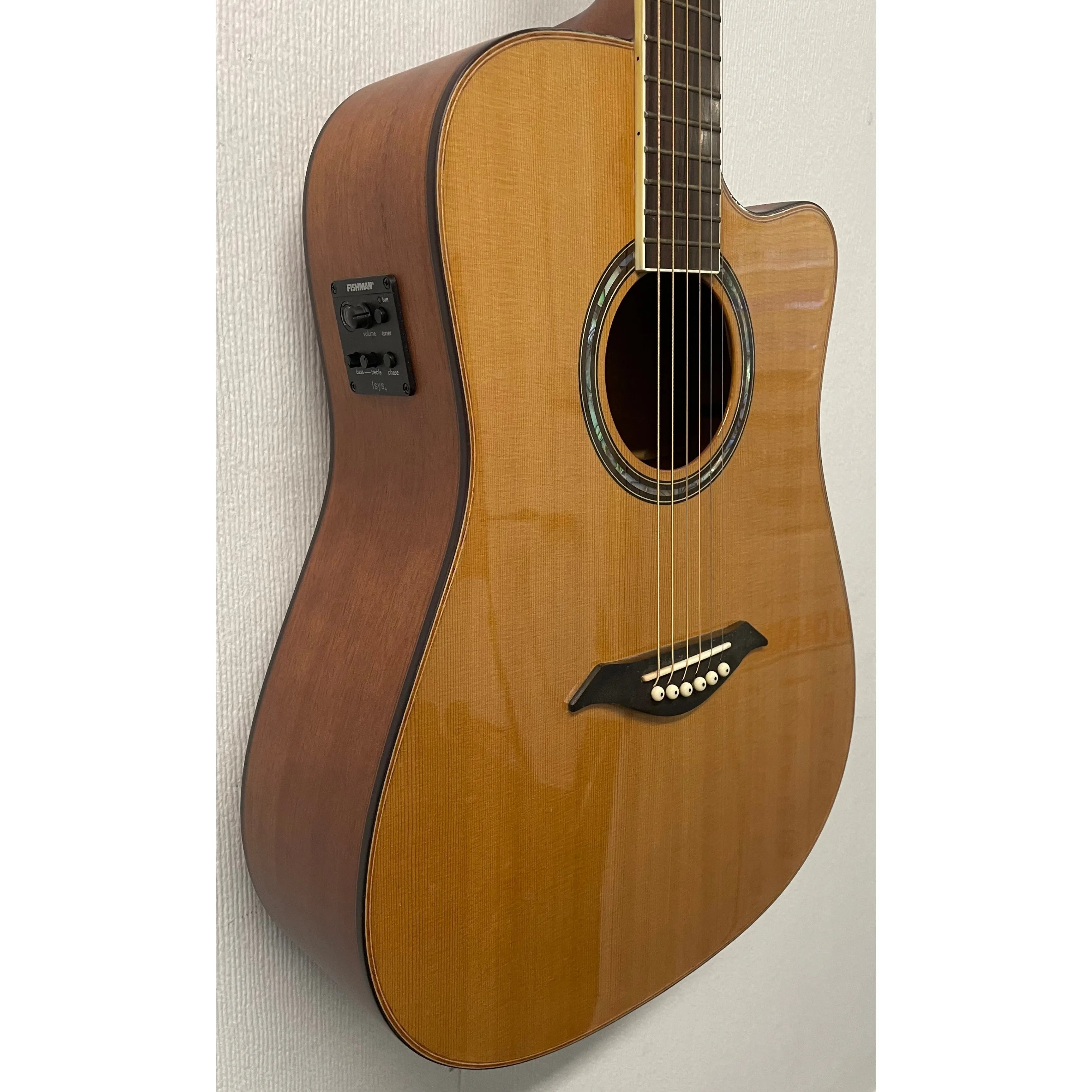 Turner Dreadnought 50CE Electro Acoustic Guitar