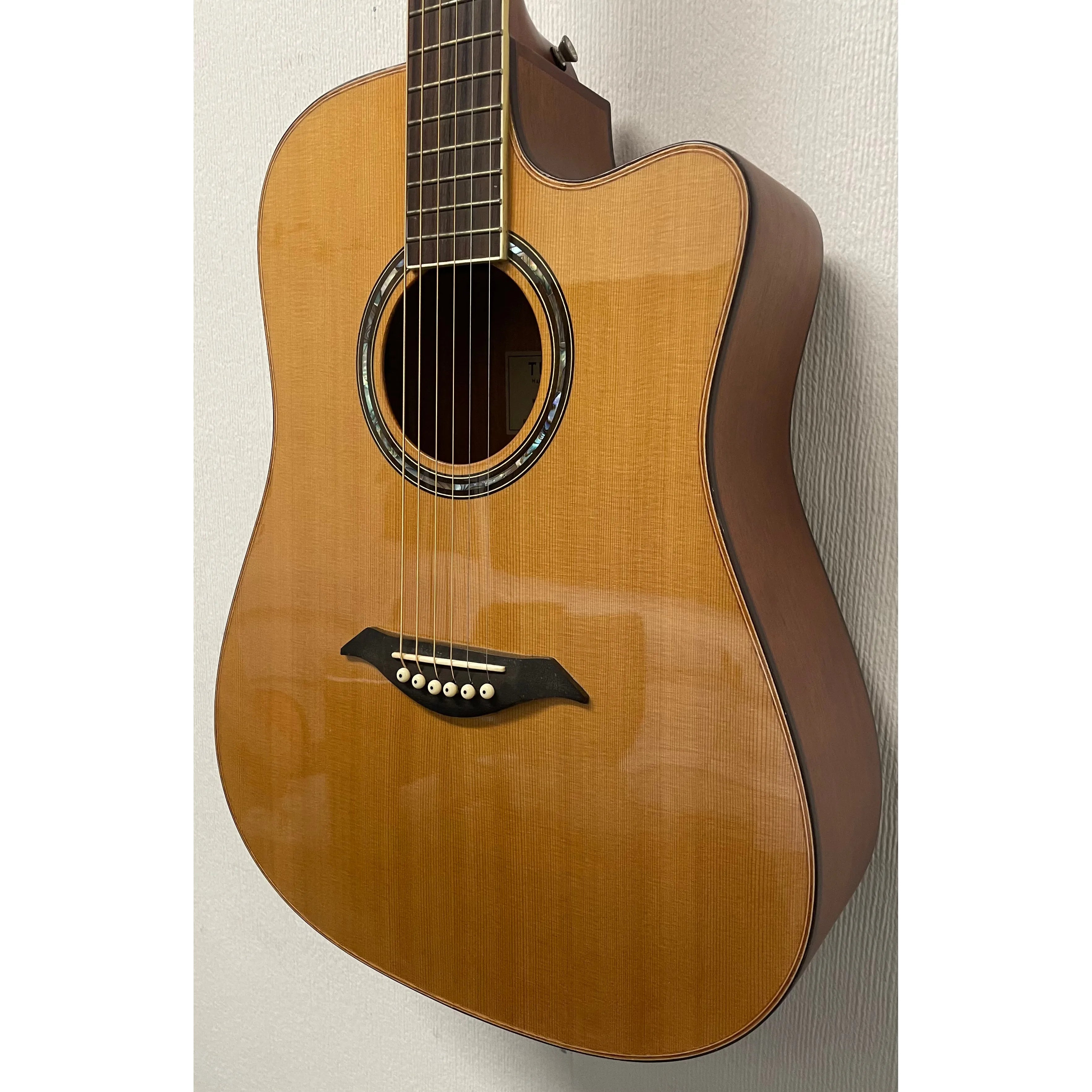 Turner Dreadnought 50CE Electro Acoustic Guitar