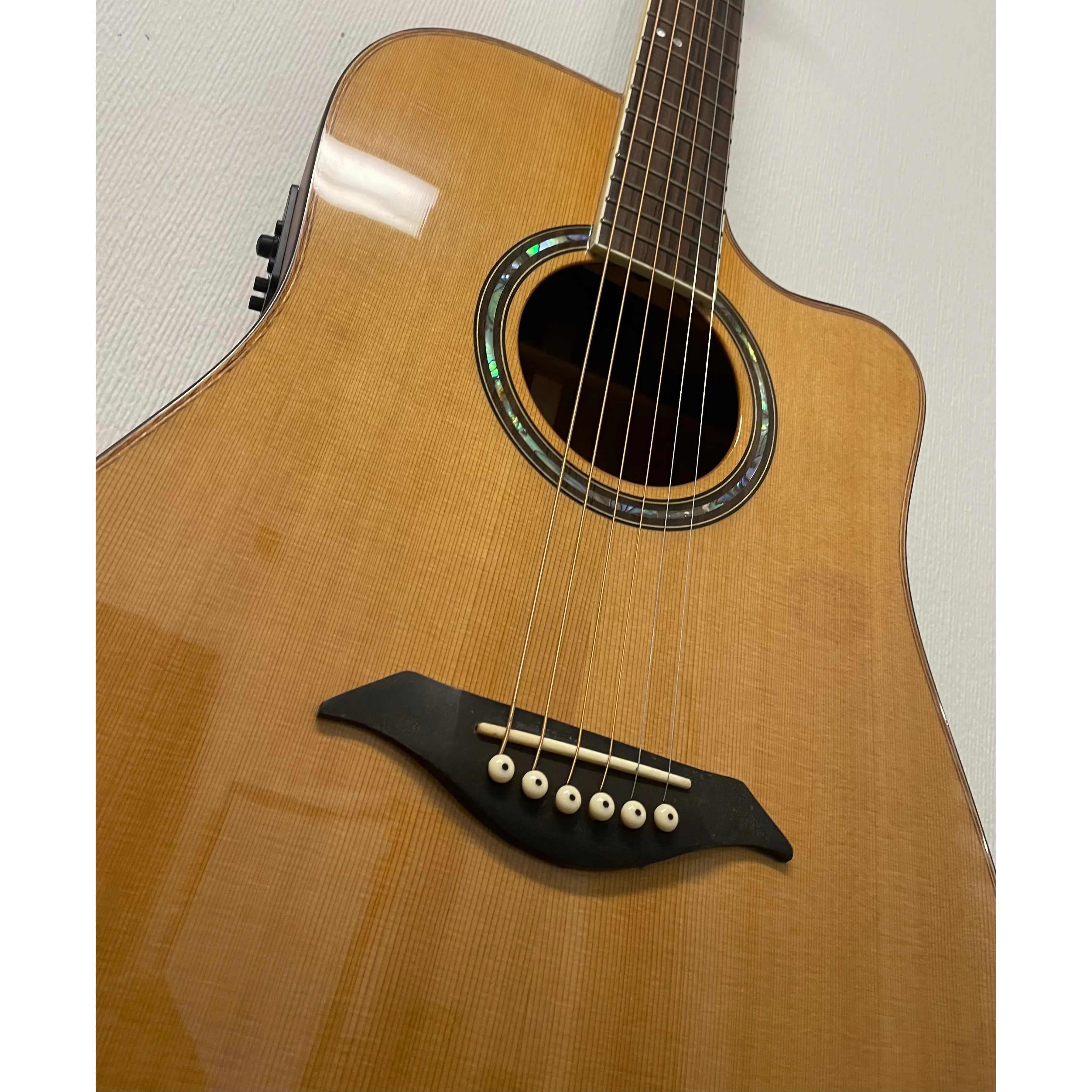 Turner Dreadnought 50CE Electro Acoustic Guitar