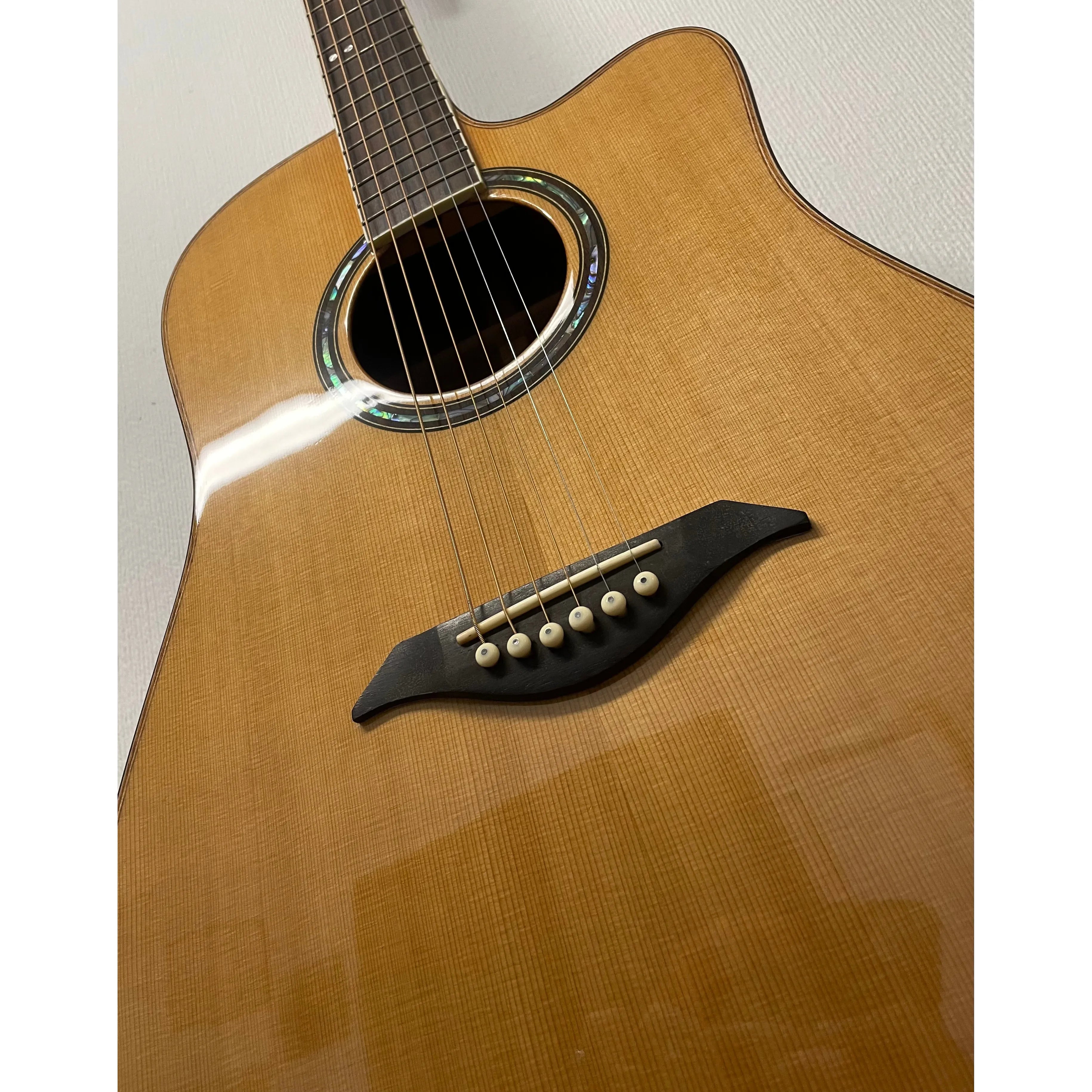 Turner Dreadnought 50CE Electro Acoustic Guitar
