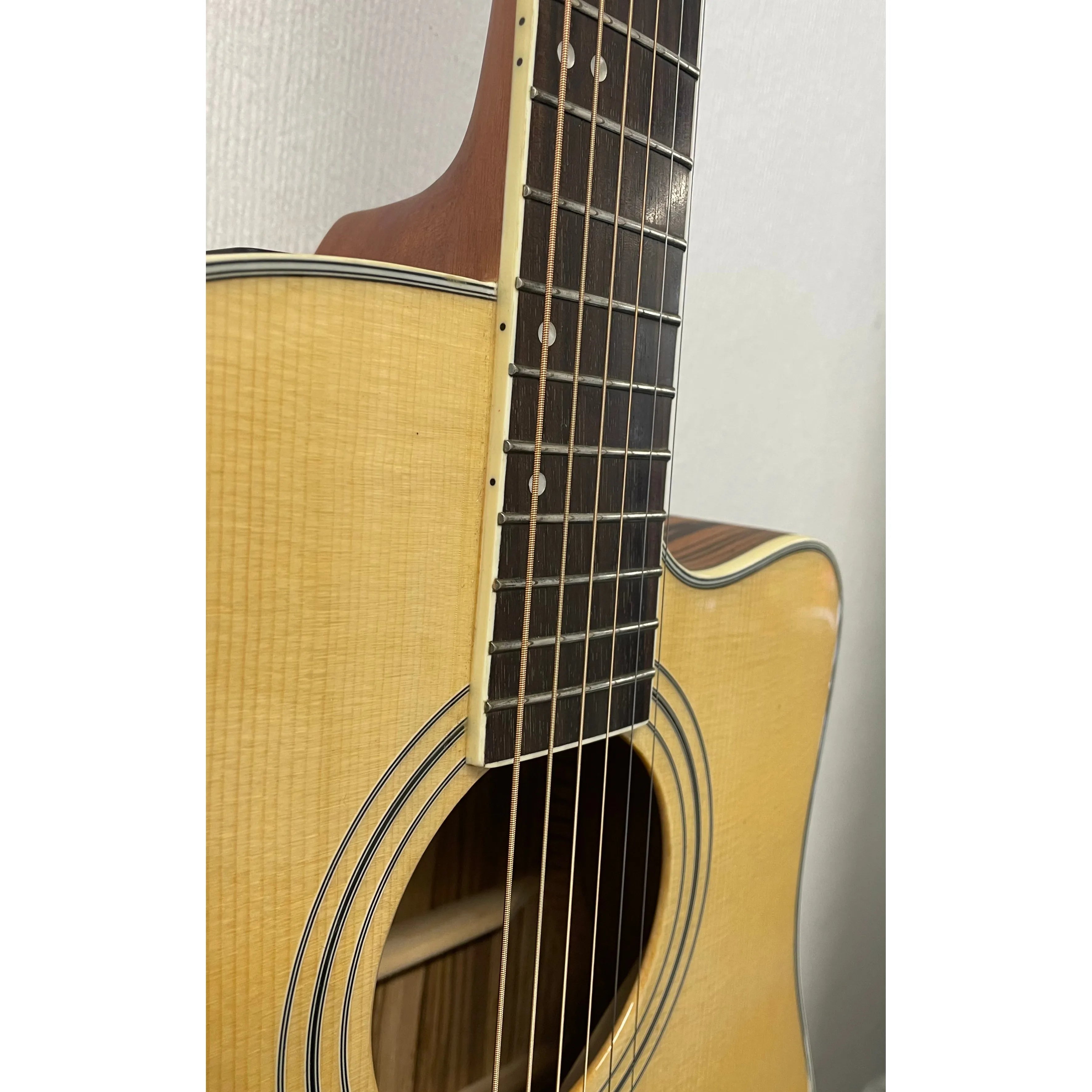 Turner Dreadnought 40CE Electro Acoustic Guitar