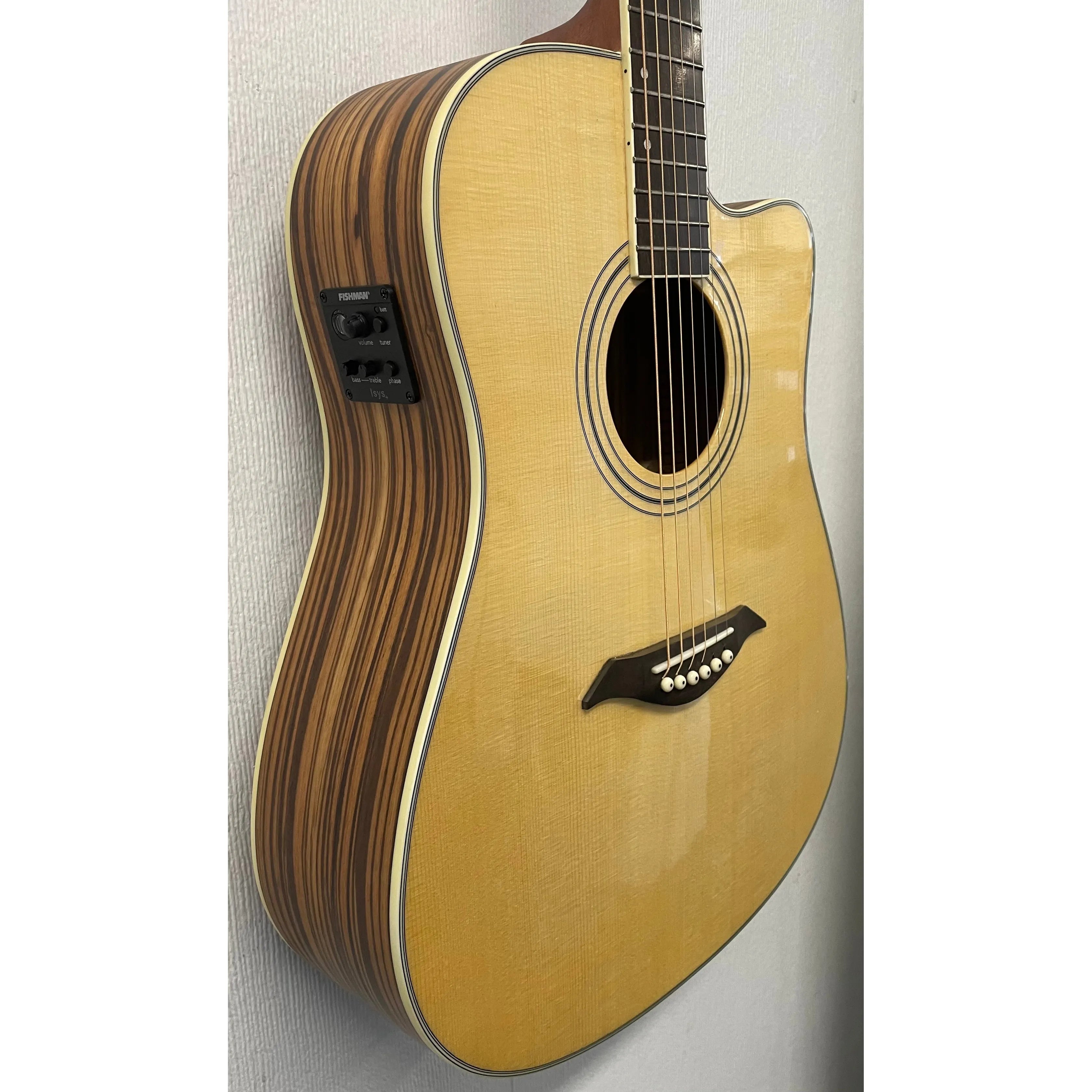 Turner Dreadnought 40CE Electro Acoustic Guitar