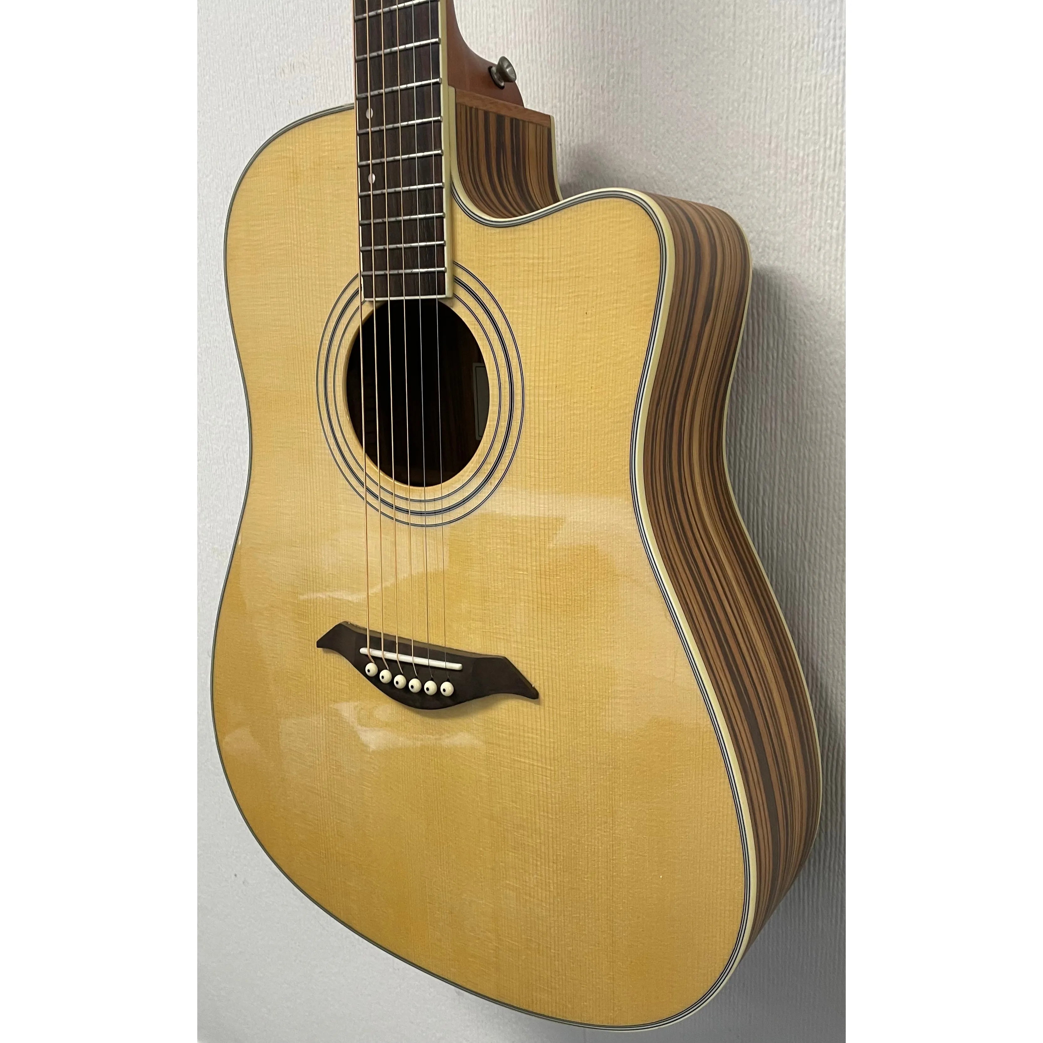 Turner Dreadnought 40CE Electro Acoustic Guitar
