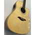 Turner Dreadnought 40CE Electro Acoustic Guitar