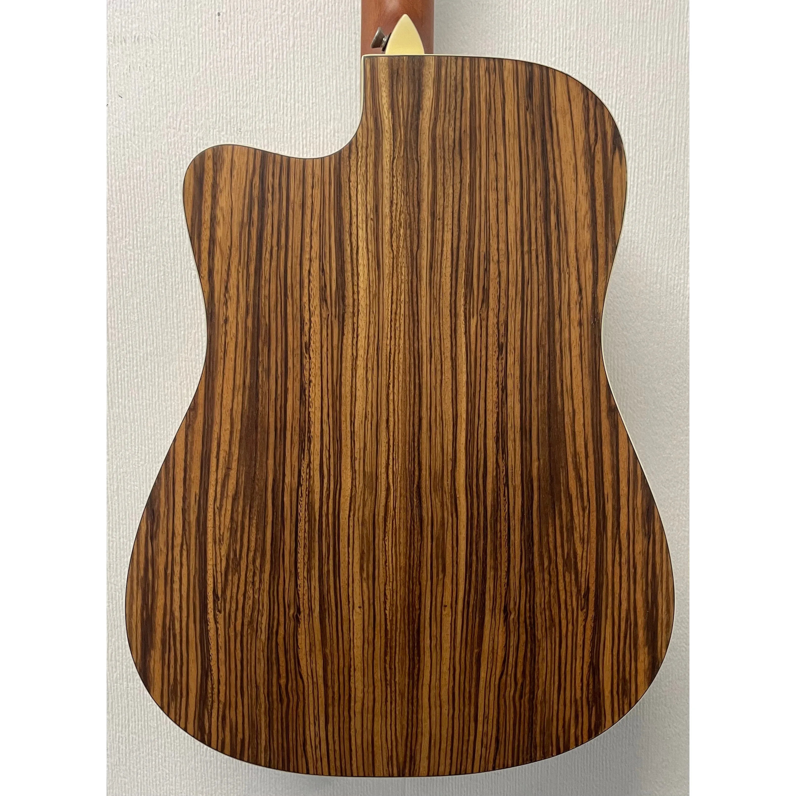 Turner Dreadnought 40CE Electro Acoustic Guitar
