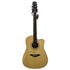 Turner Dreadnought 40CE Electro Acoustic Guitar