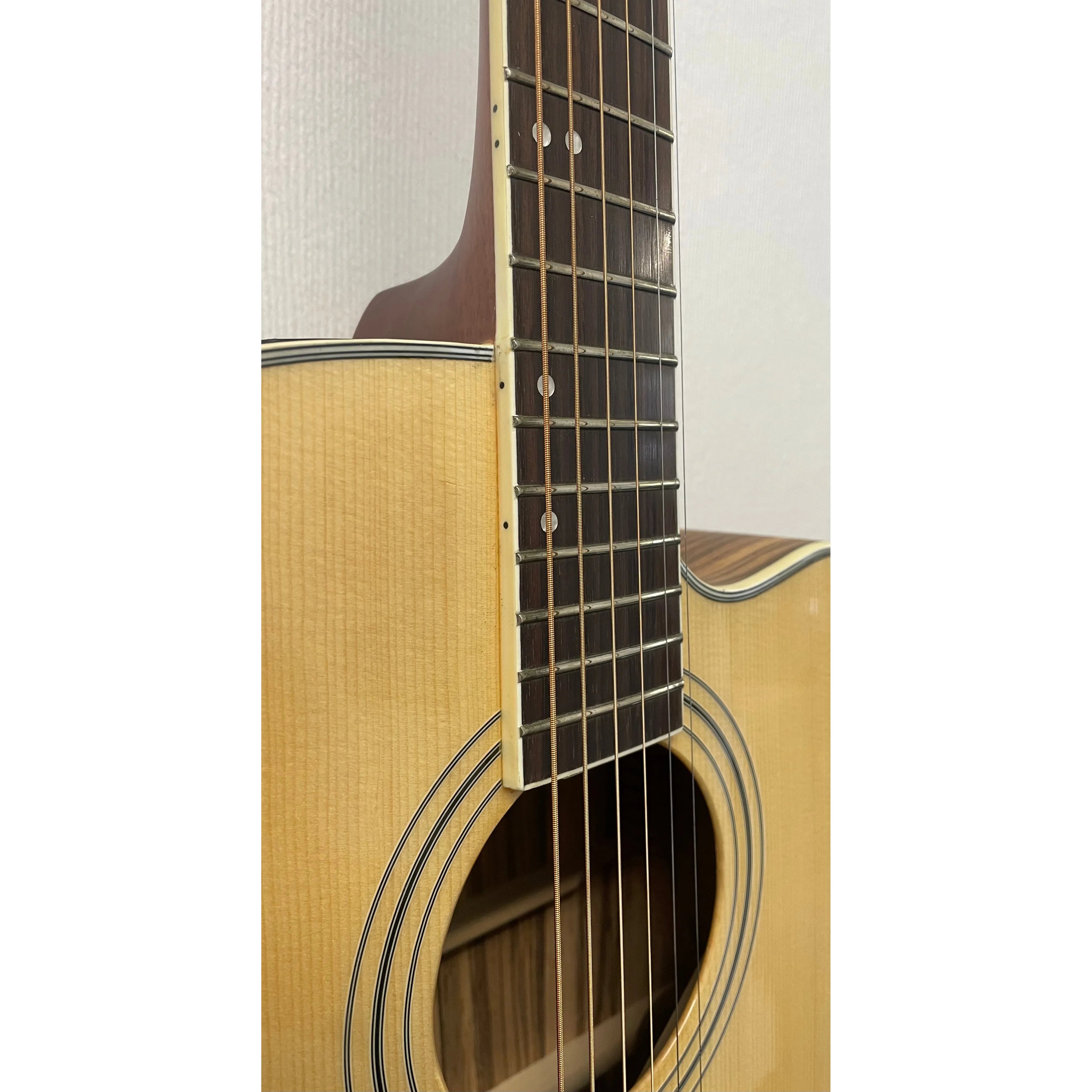 Turner Dreadnought 40CE Electro Acoustic Guitar