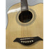 Turner Dreadnought 40CE Electro Acoustic Guitar