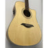 Turner Dreadnought 40CE Electro Acoustic Guitar