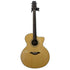 Turner Jumbo 45CE Electro Acoustic Guitar