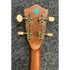 Redwood Closed Back Banjolele Pre-Owned