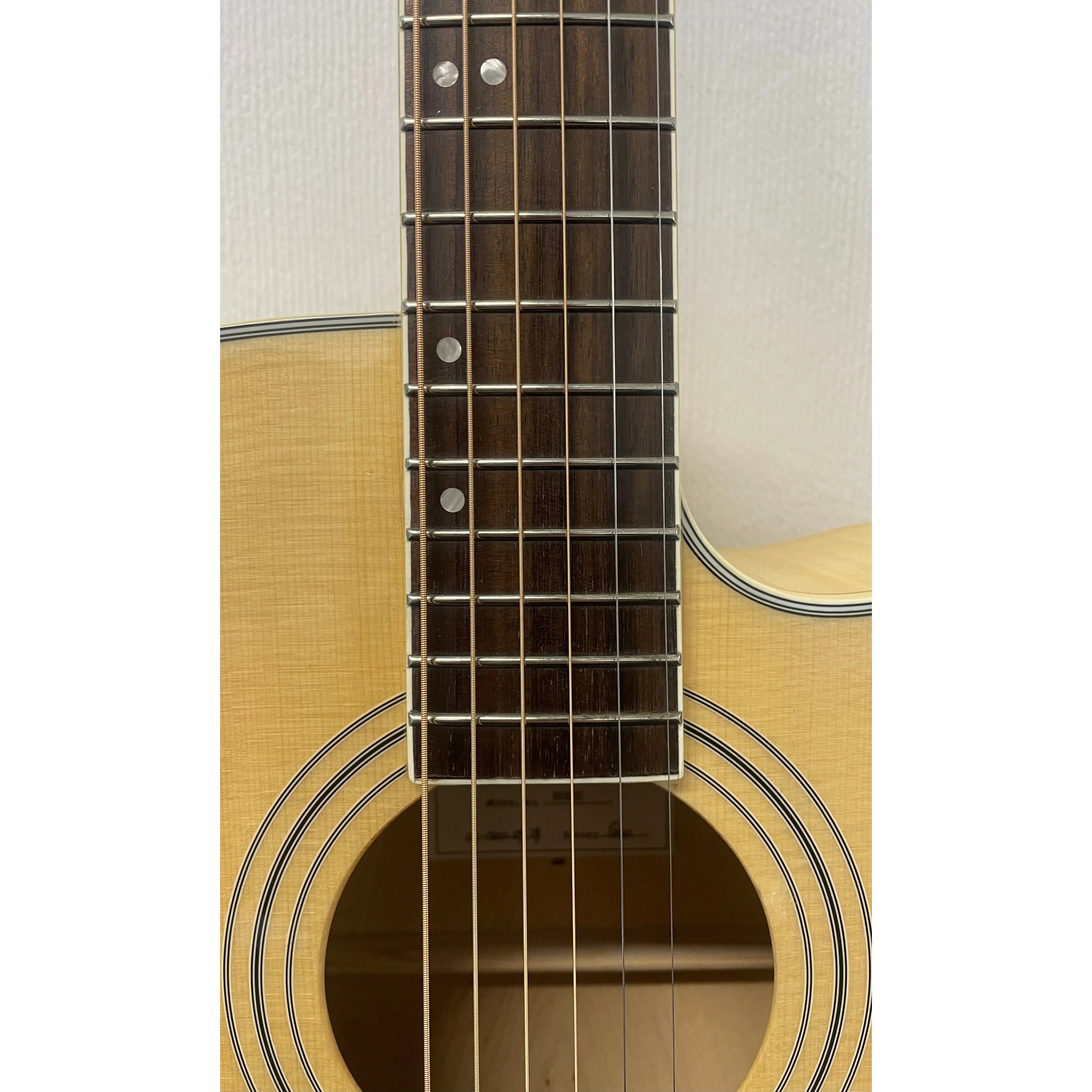 Turner Dreadnought 60CE Electro Acoustic Guitar