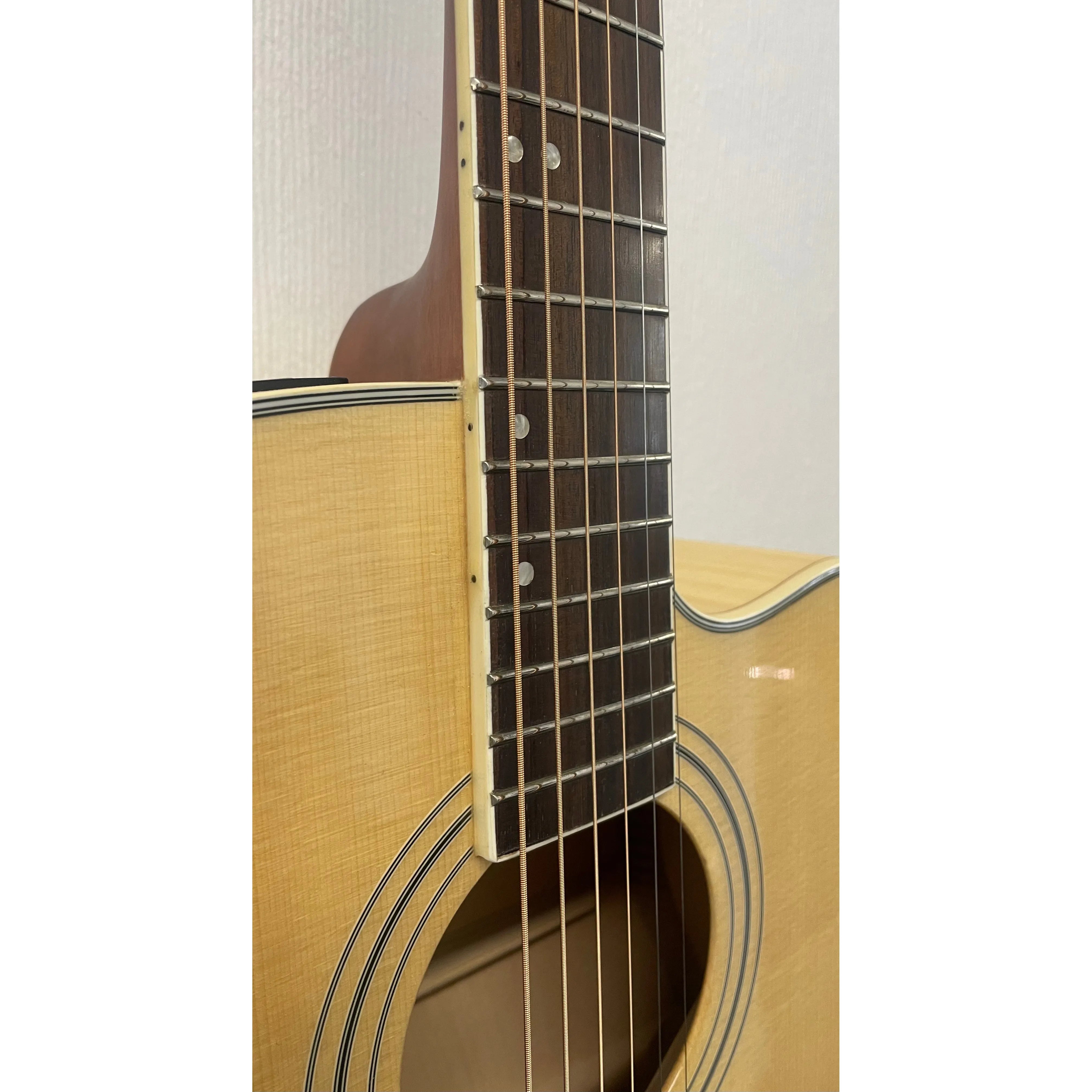 Turner Dreadnought 60CE Electro Acoustic Guitar