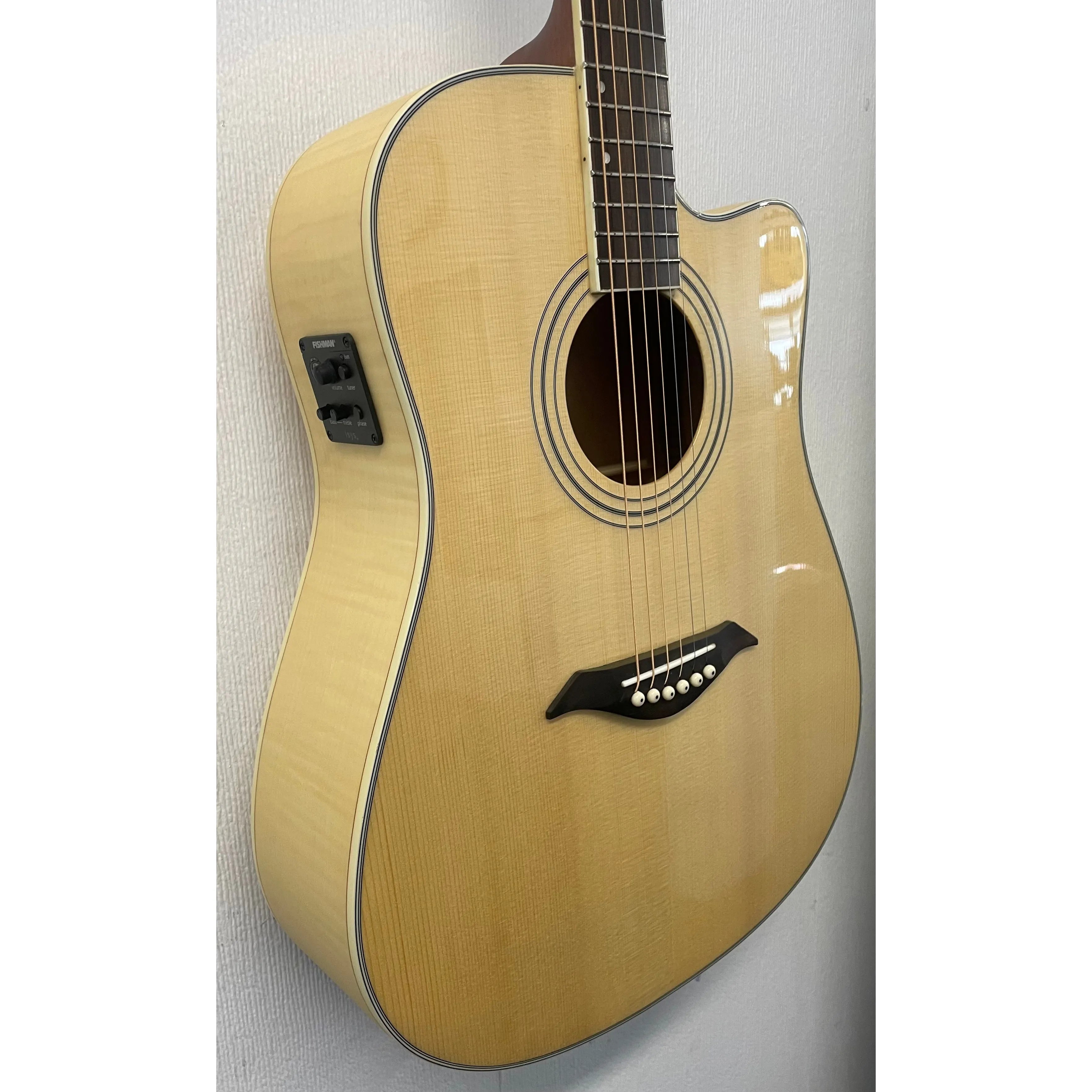 Turner Dreadnought 60CE Electro Acoustic Guitar