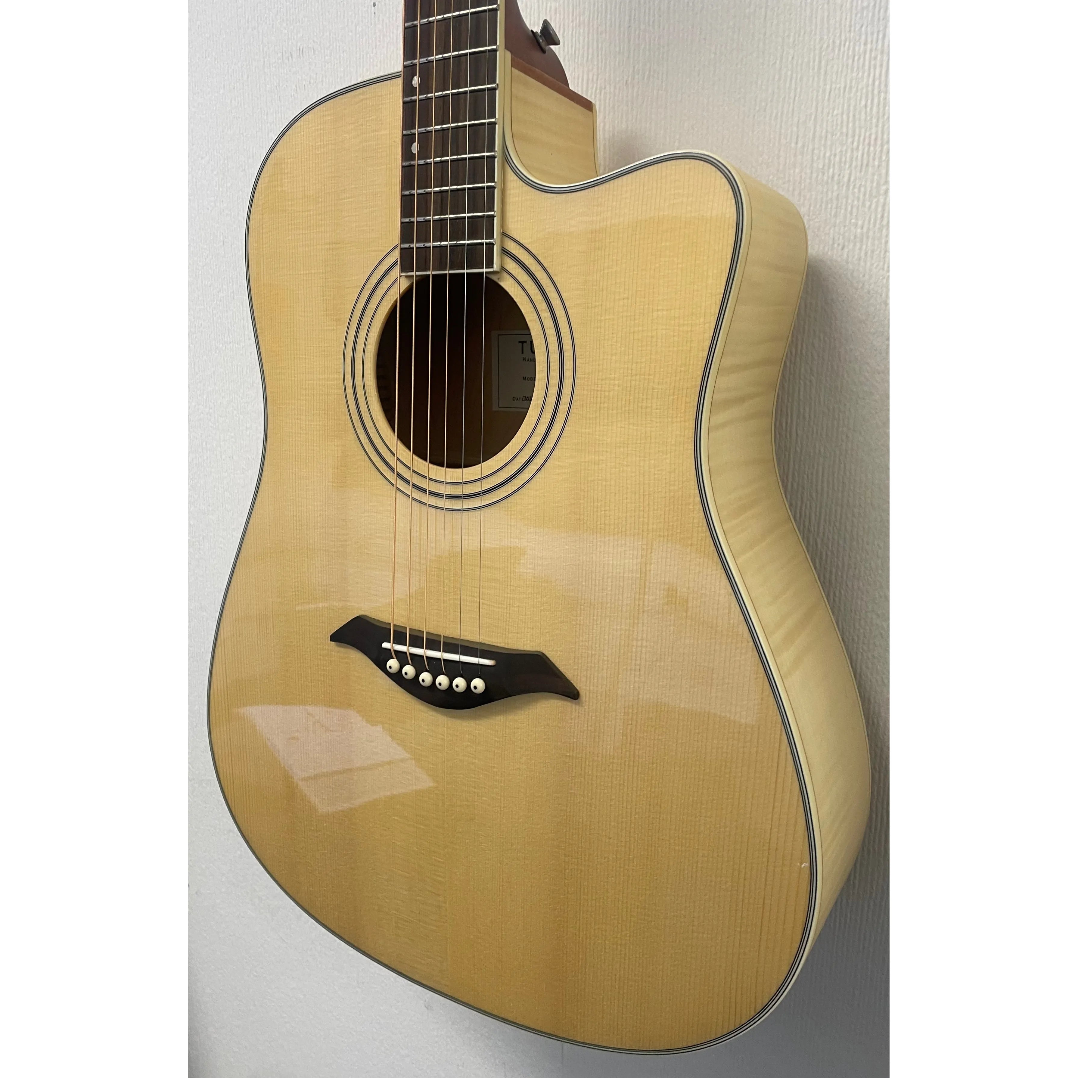 Turner Dreadnought 60CE Electro Acoustic Guitar