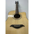 Turner Dreadnought 60CE Electro Acoustic Guitar
