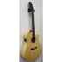 Turner Dreadnought 60CE Electro Acoustic Guitar