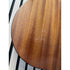 Taylor 114CE Grand Auditorium Sized Electro Acoustic Guitar in Natural with Hardcase Pre-Owned
