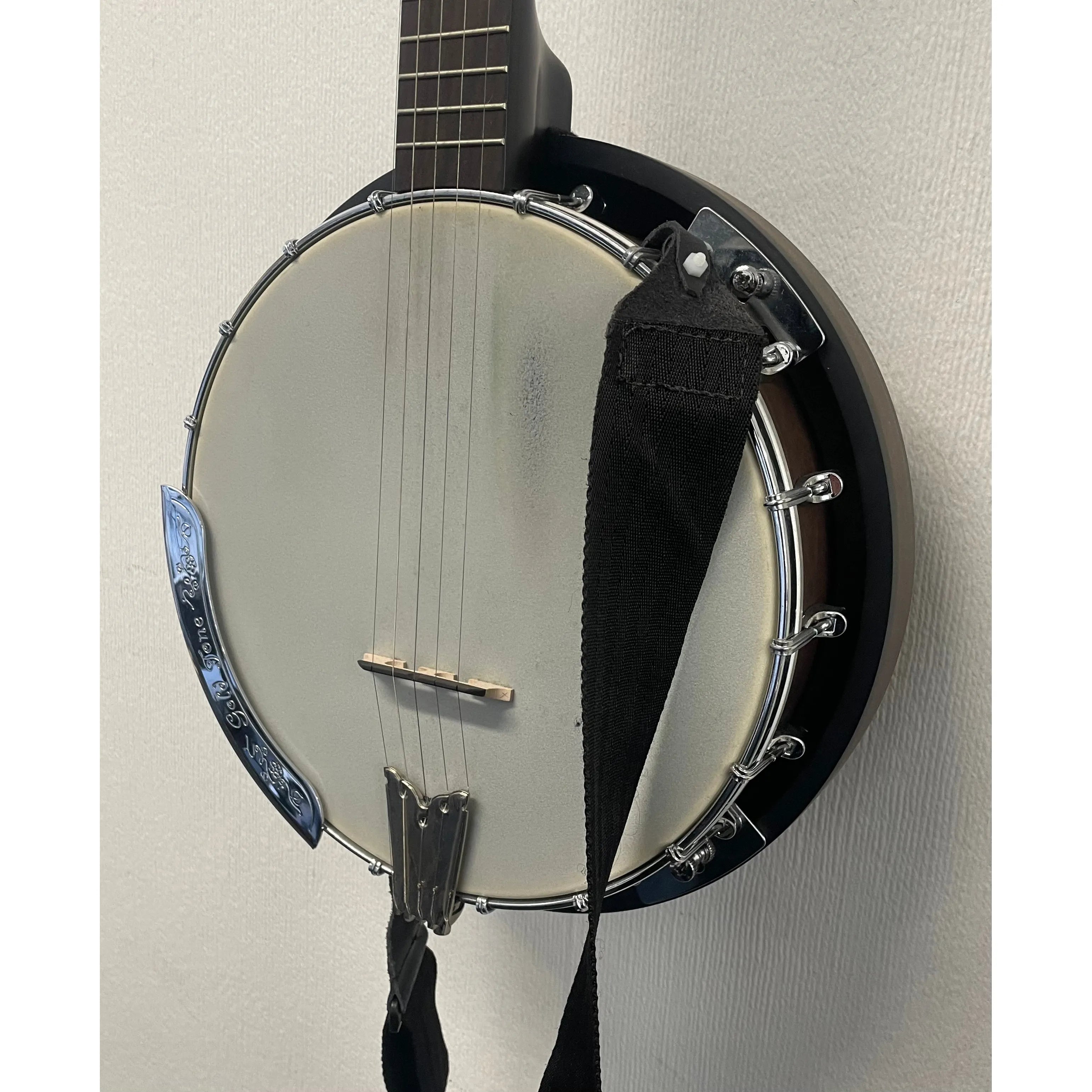 Gold Tone 5 String Closed Back Resonator Banjo with Hardcase and Strap Pre-Owned