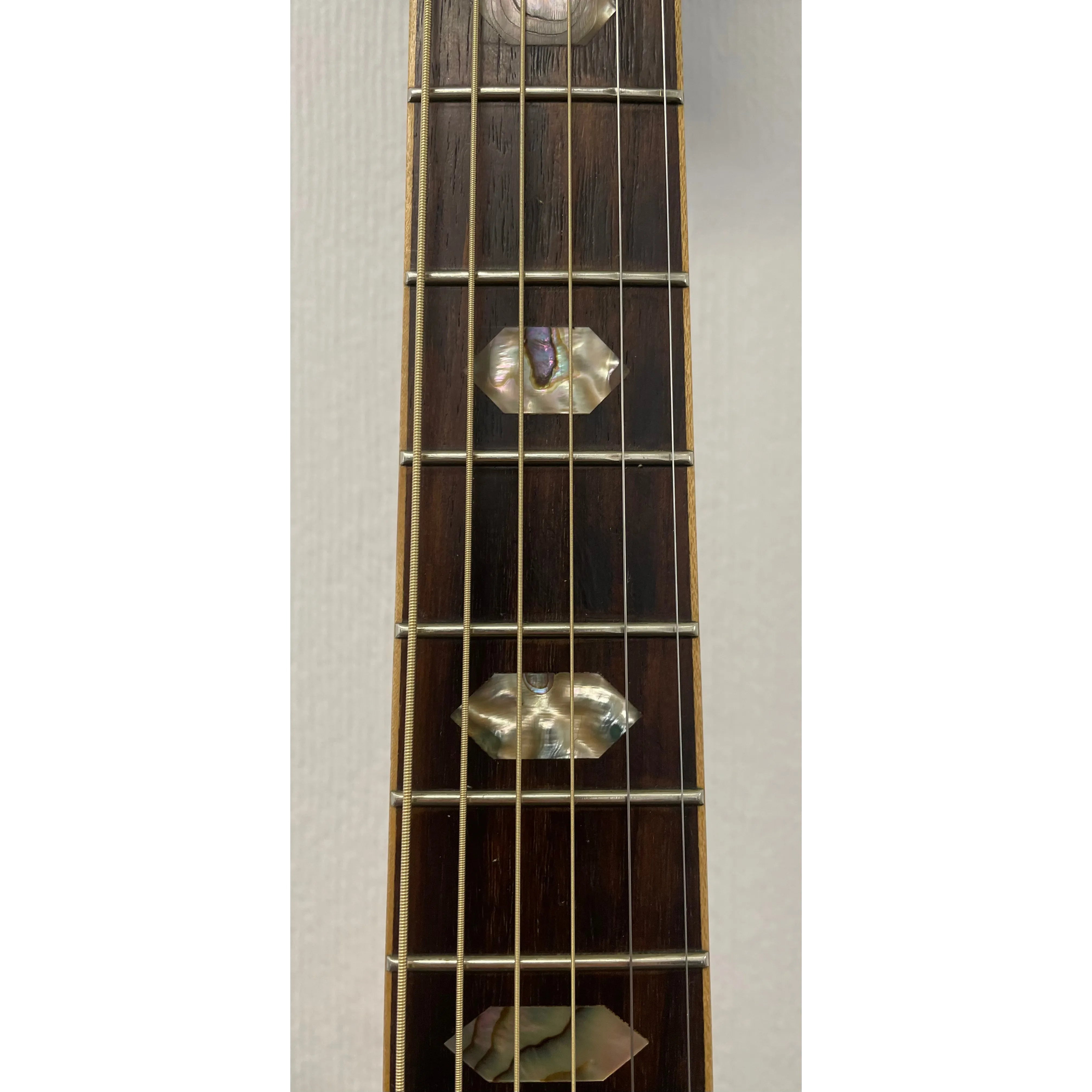 Sheridan BF501E-NA Electro Acoustic Guitar with Hardcase Pre-Owned