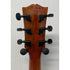 Sheridan BF501E-NA Electro Acoustic Guitar with Hardcase Pre-Owned