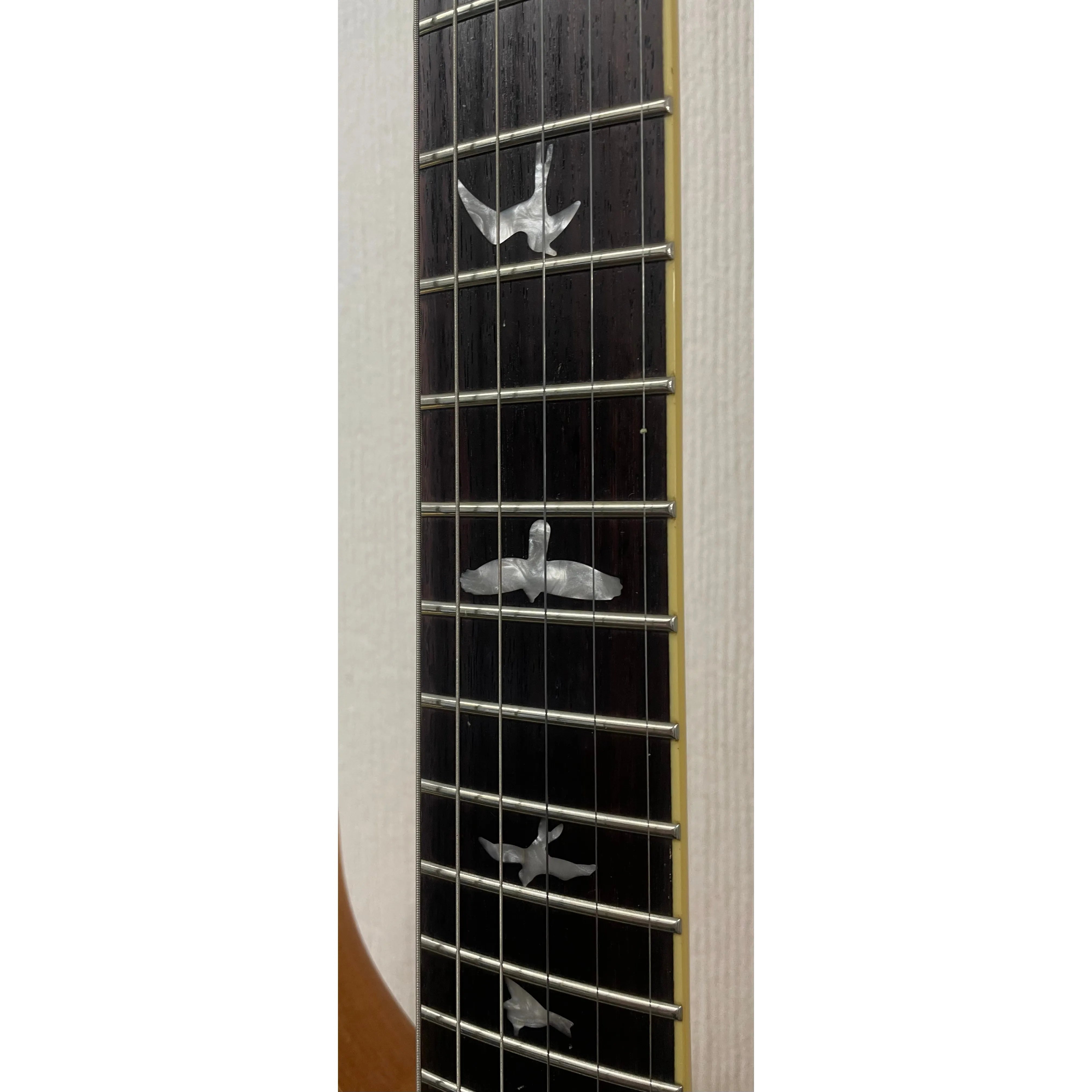 PRS SE Custom Spalted Maple LTD ED with Original Gigbag Pre-Owned