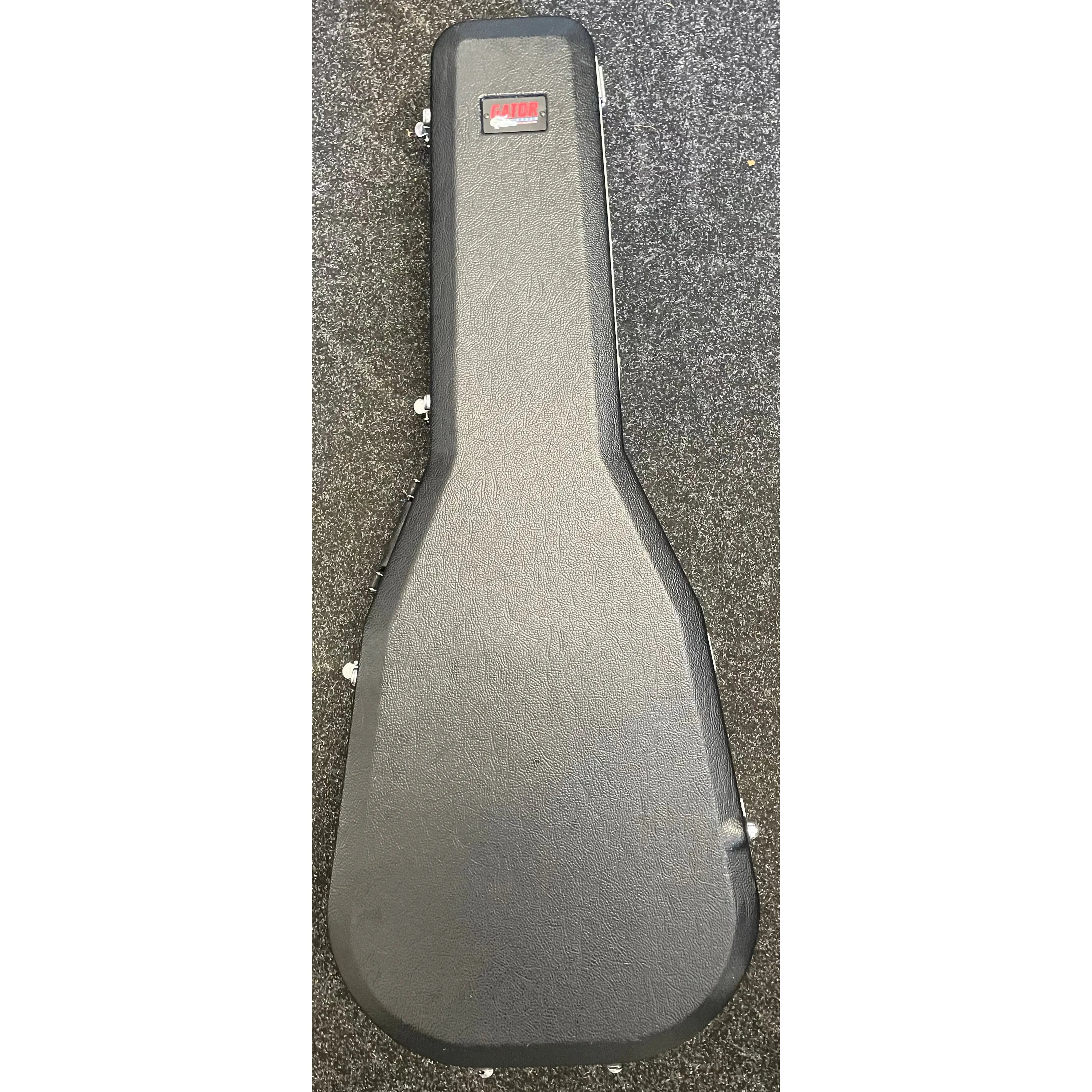 Standford Acoustic Guitar PS 0M 21 in Natural with Gator Hardcase Pre-Owned