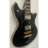 Schecter Diamond Series Tempest Custom in Black Pre-Owned