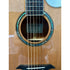 Turner Grand Auditorium 52CE Electro Acoustic Guitar