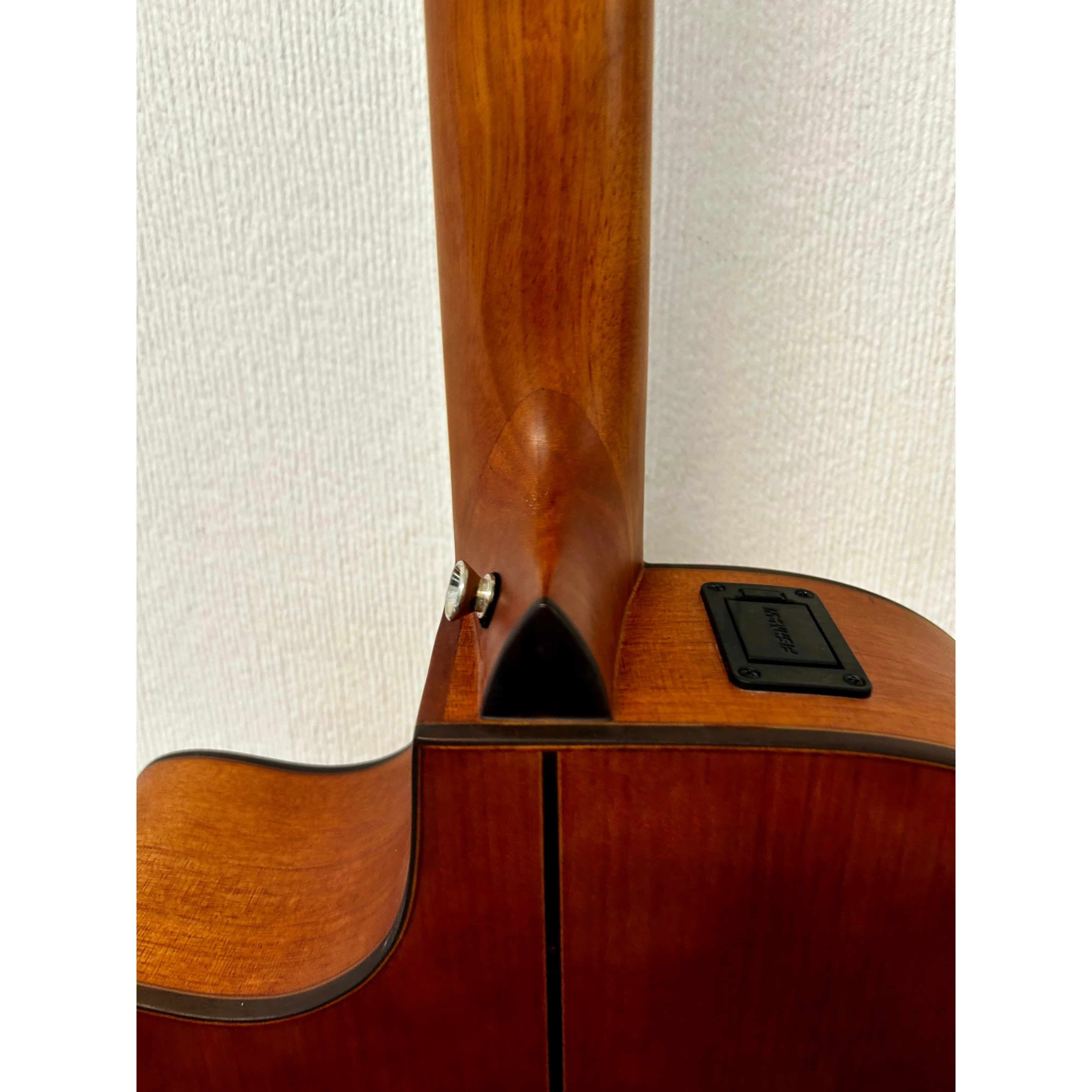 Turner Grand Auditorium 52CE Electro Acoustic Guitar