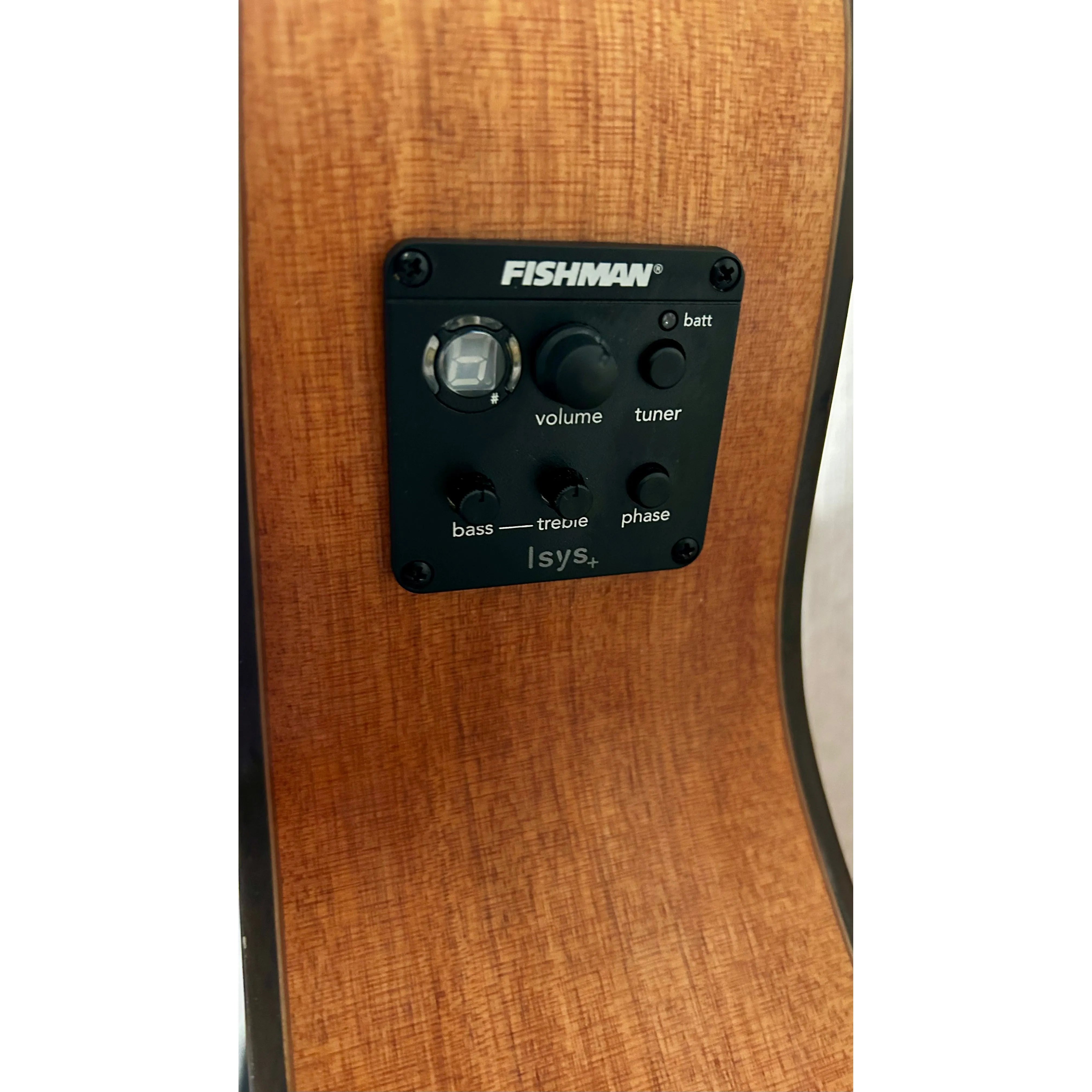 Turner Grand Auditorium 52CE Electro Acoustic Guitar