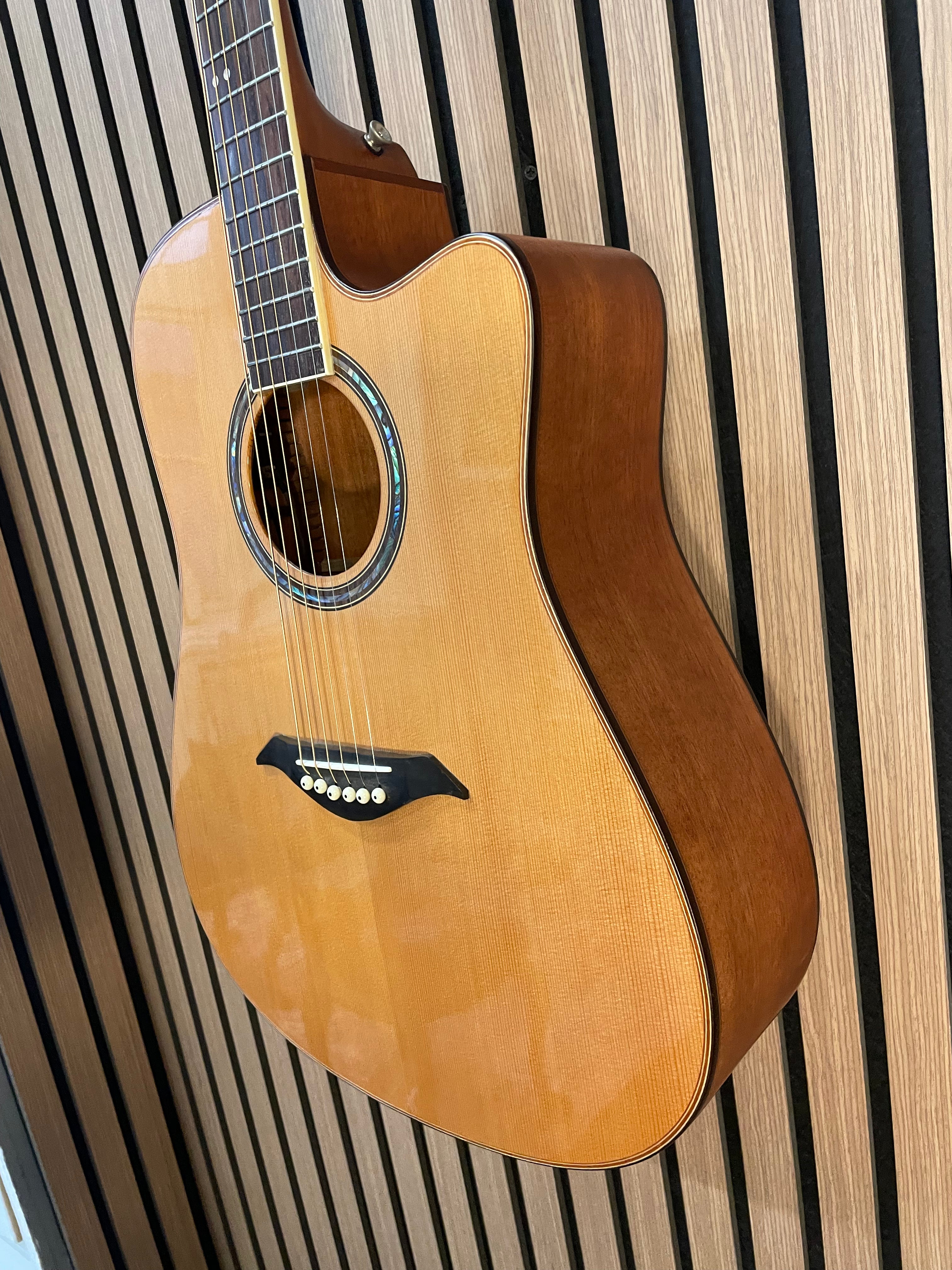 Turner Dreadnought 50CE Electro Acoustic Guitar