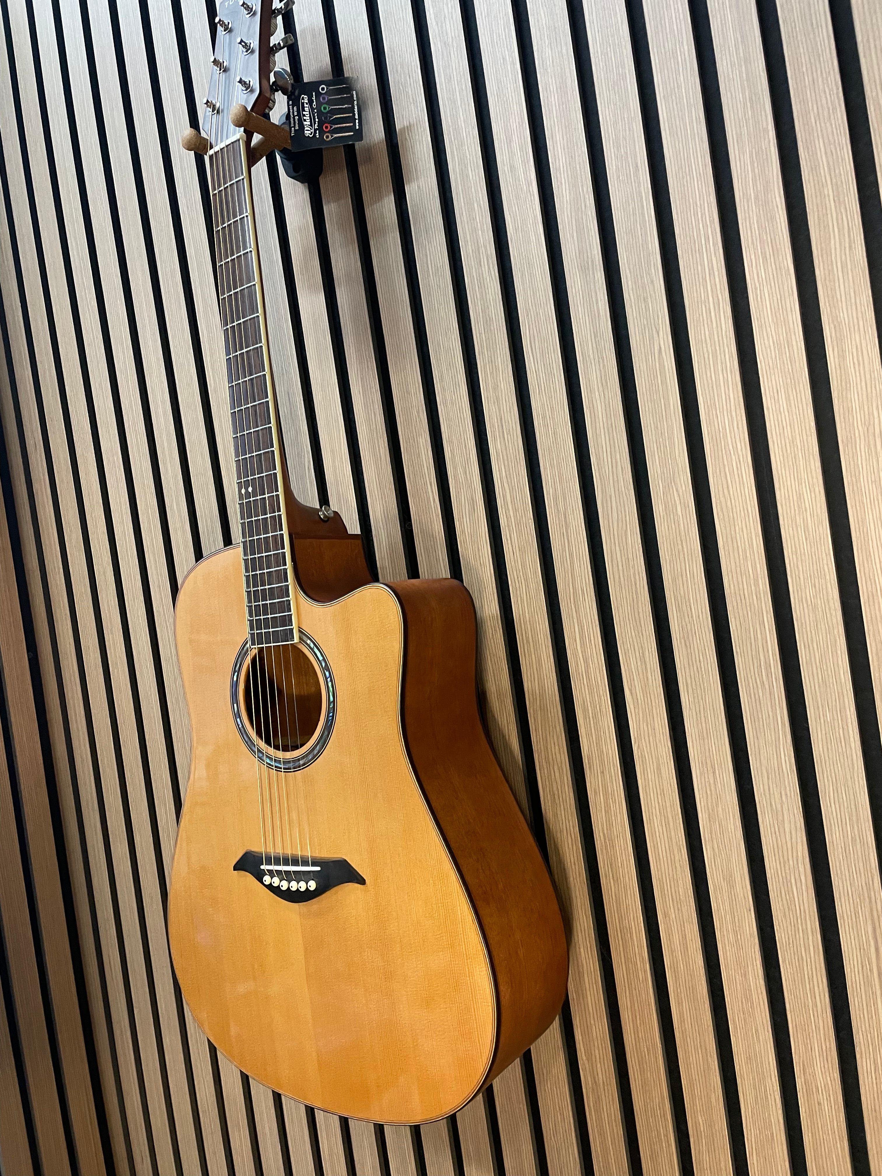 Turner Dreadnought 50CE Electro Acoustic Guitar