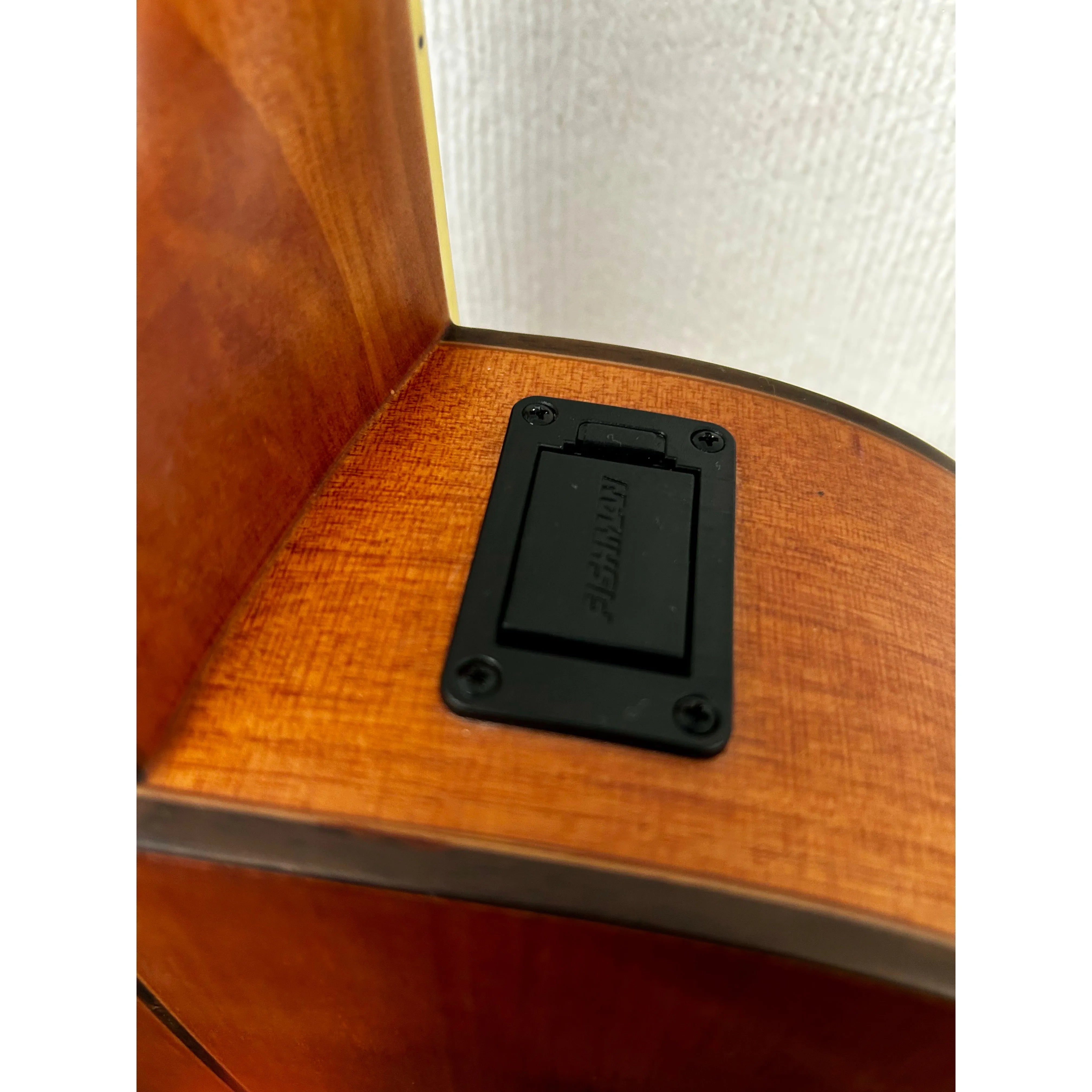 Turner Grand Auditorium 52CE Electro Acoustic Guitar