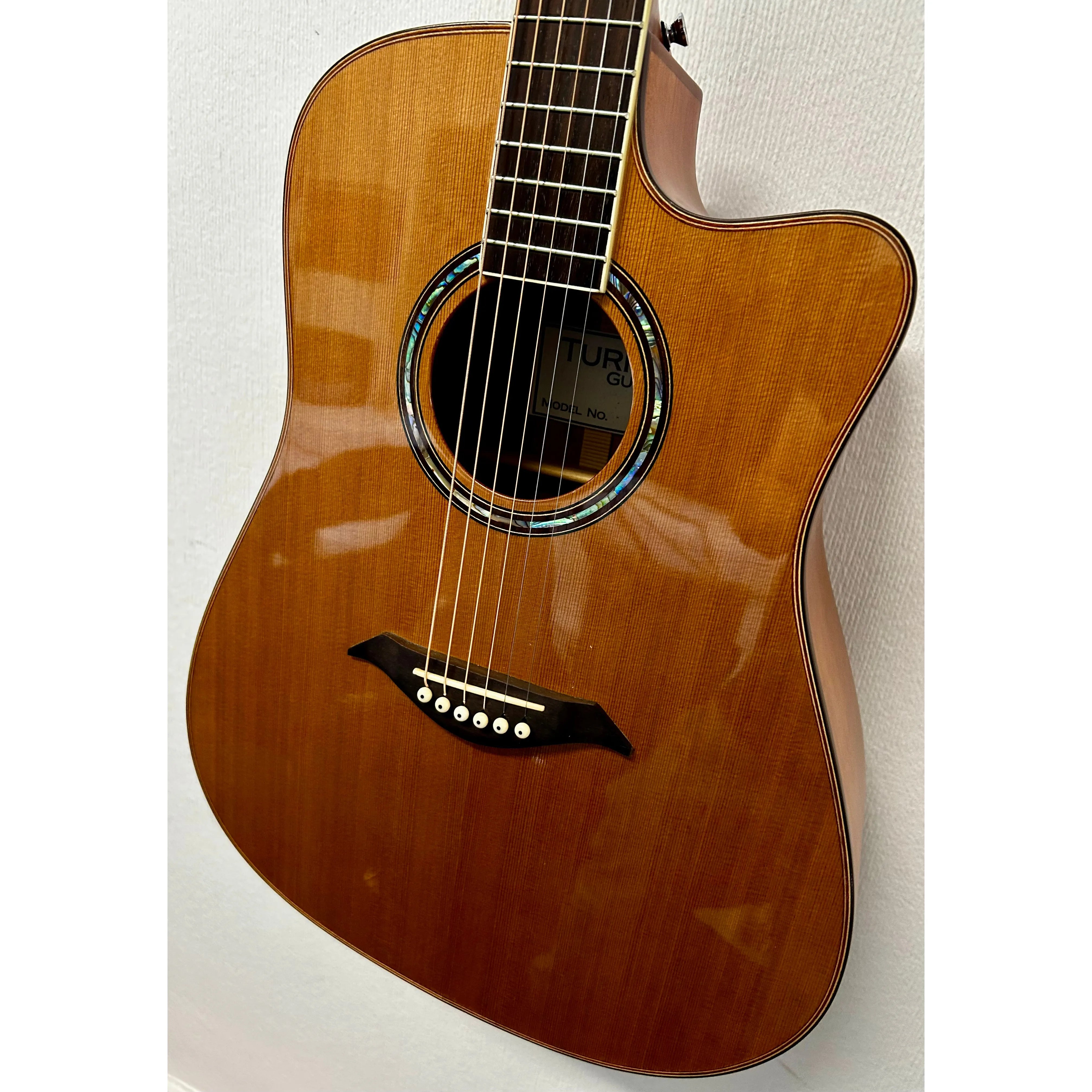 Turner Dreadnought 50CE Electro Acoustic Guitar