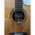 Turner Dreadnought 50CE Electro Acoustic Guitar