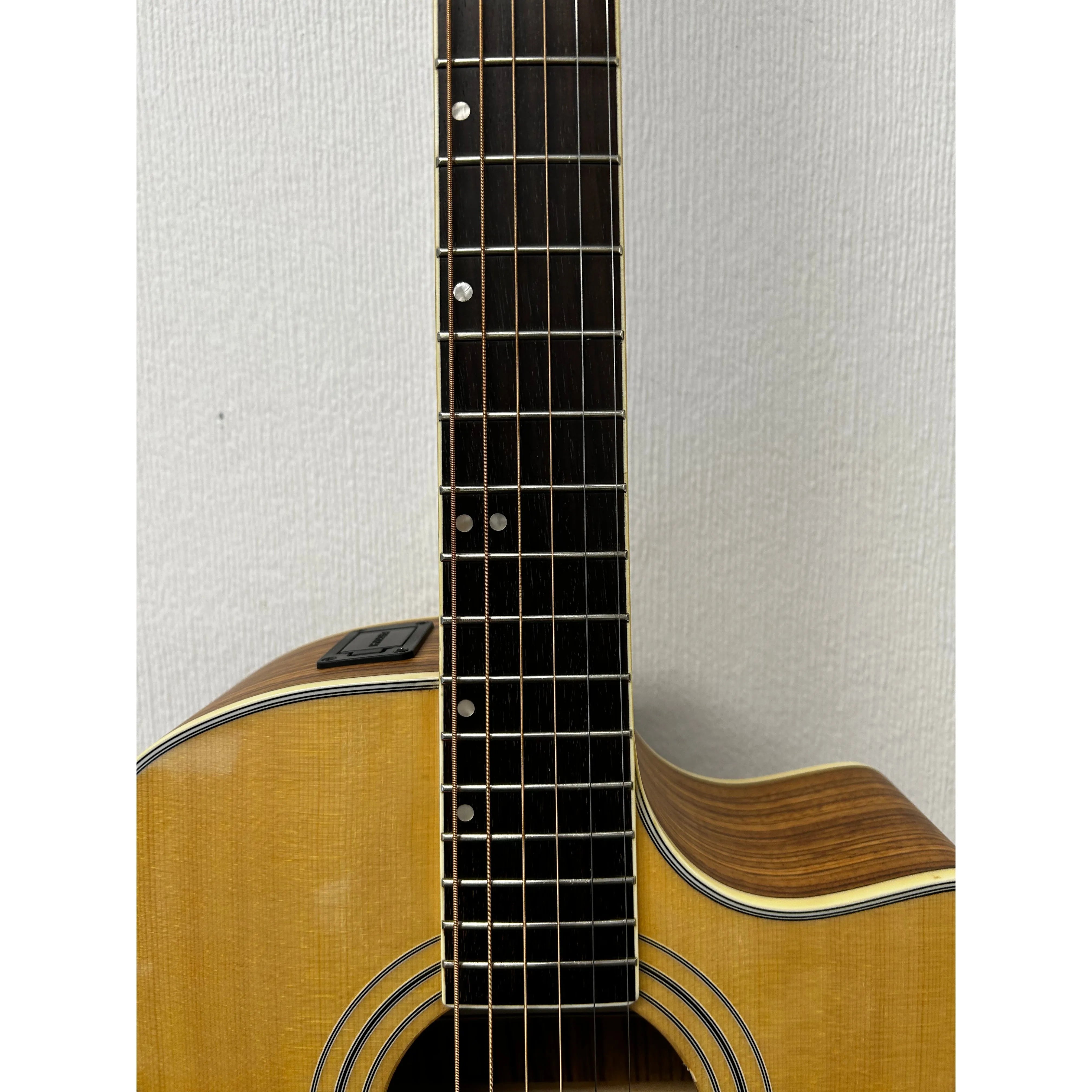 Turner Grand Auditorium 44CE Electro Acoustic Guitar