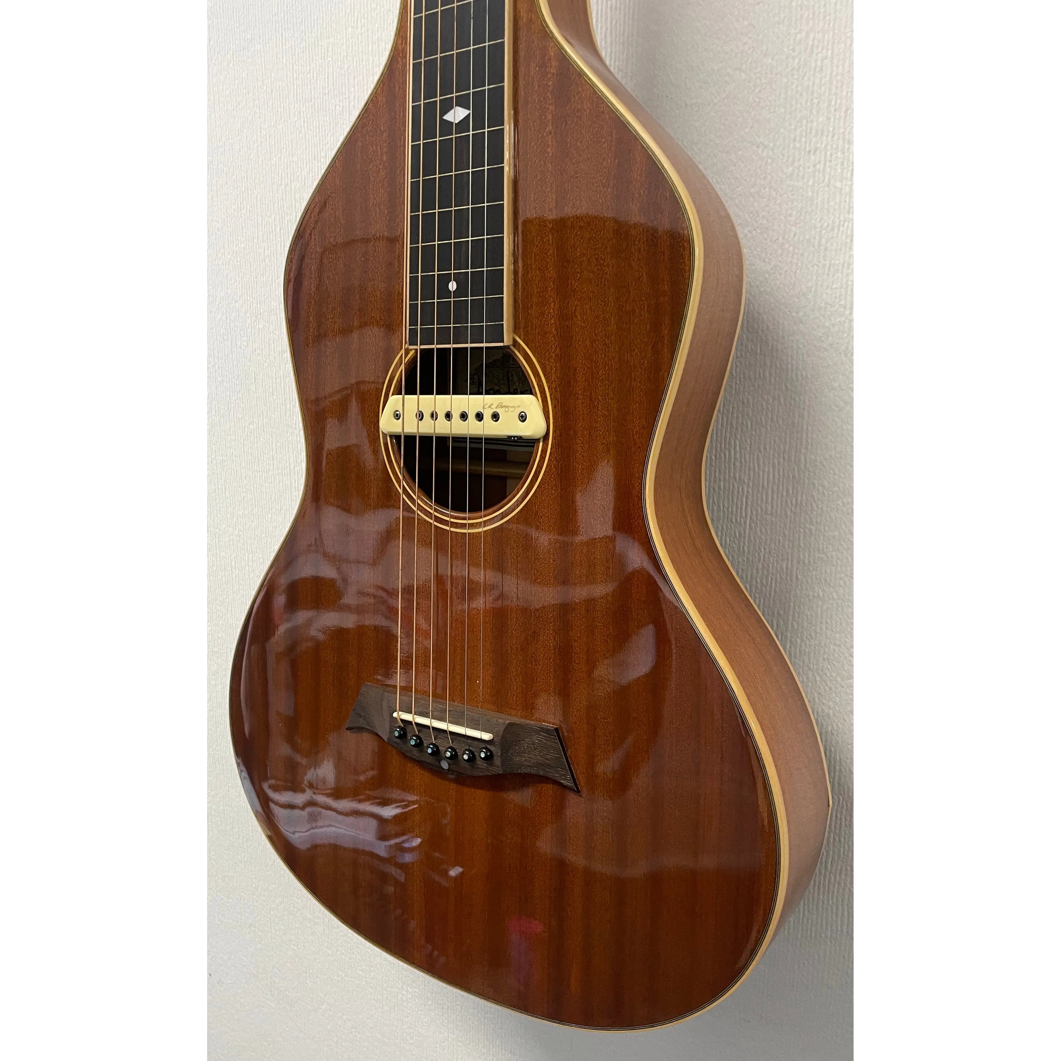 Anderwood Electric Lapsteel Guitar with Hardcase Pre-Owned