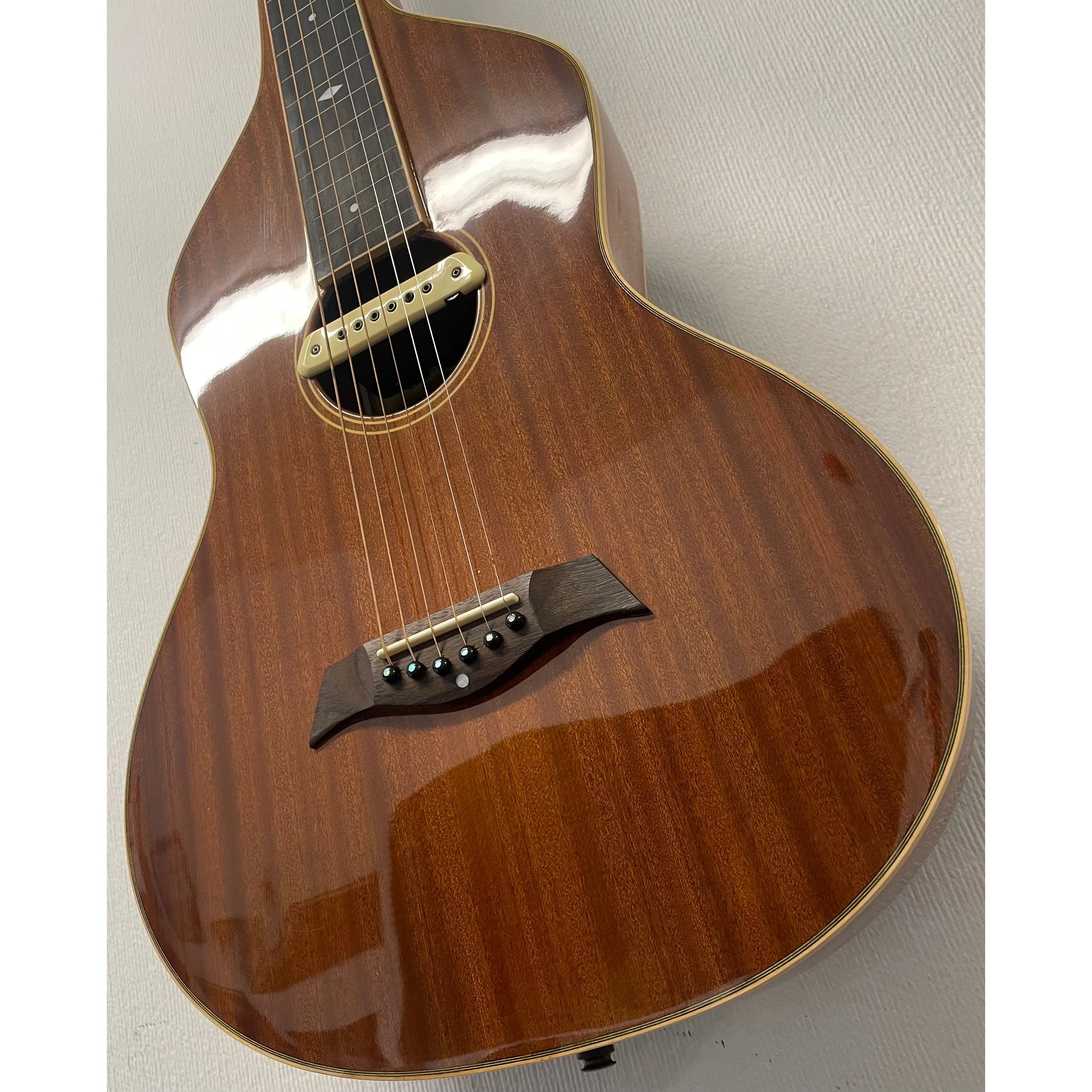 Anderwood Electric Lapsteel Guitar with Hardcase Pre-Owned