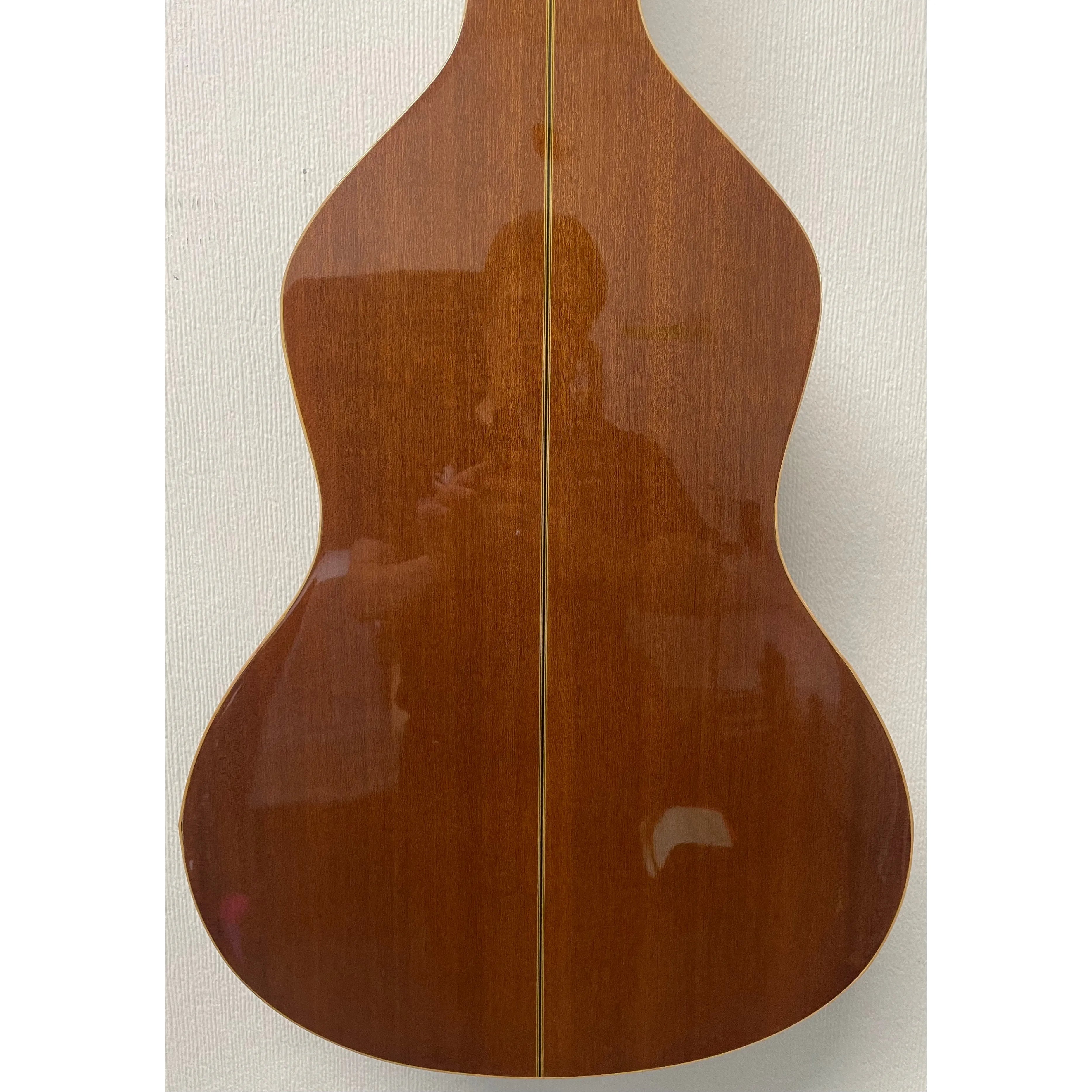 Anderwood Electric Lapsteel Guitar with Hardcase Pre-Owned