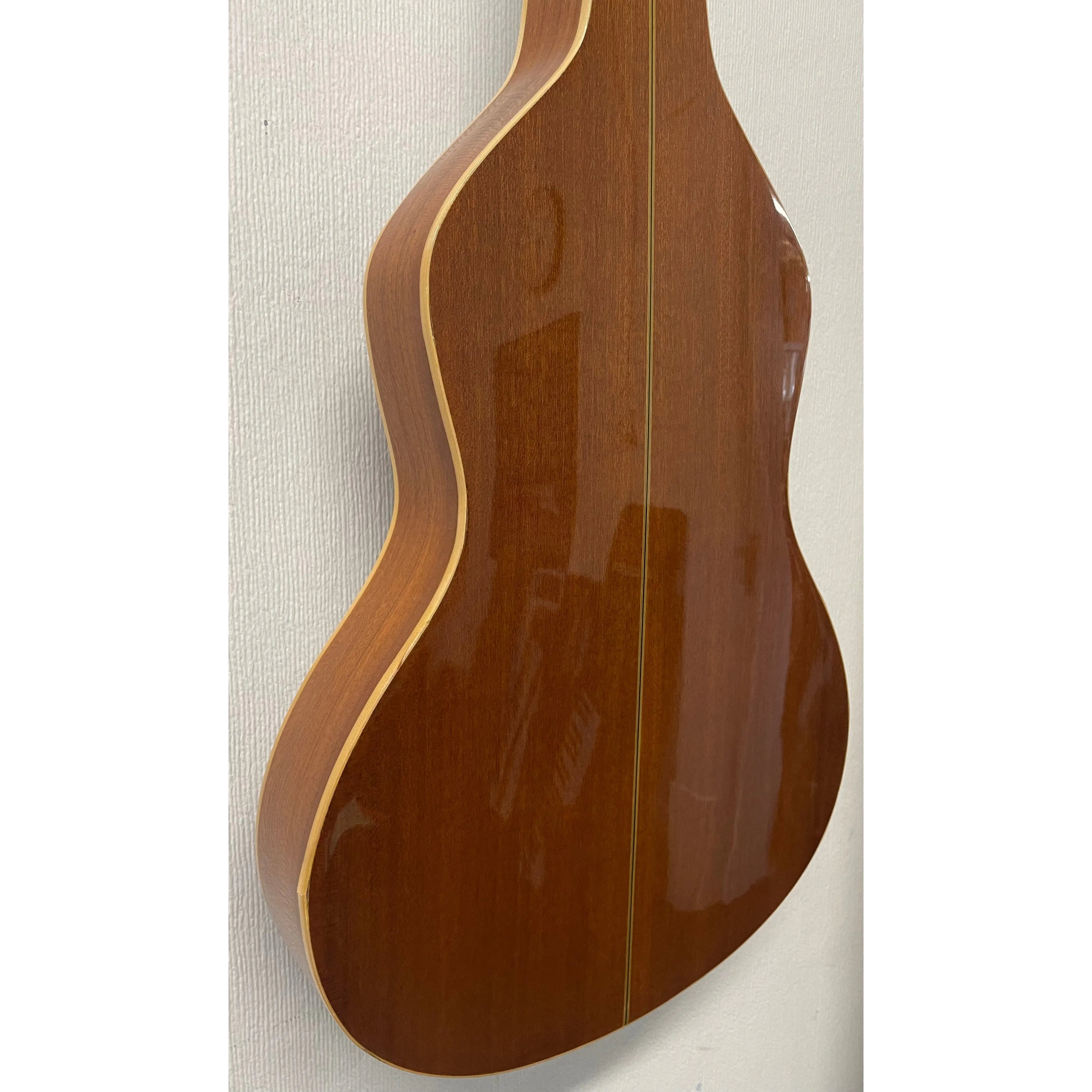 Anderwood Electric Lapsteel Guitar with Hardcase Pre-Owned