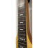 Vorson FLSL-220 Electric Lapsteel with Gigbag Pre-Owned