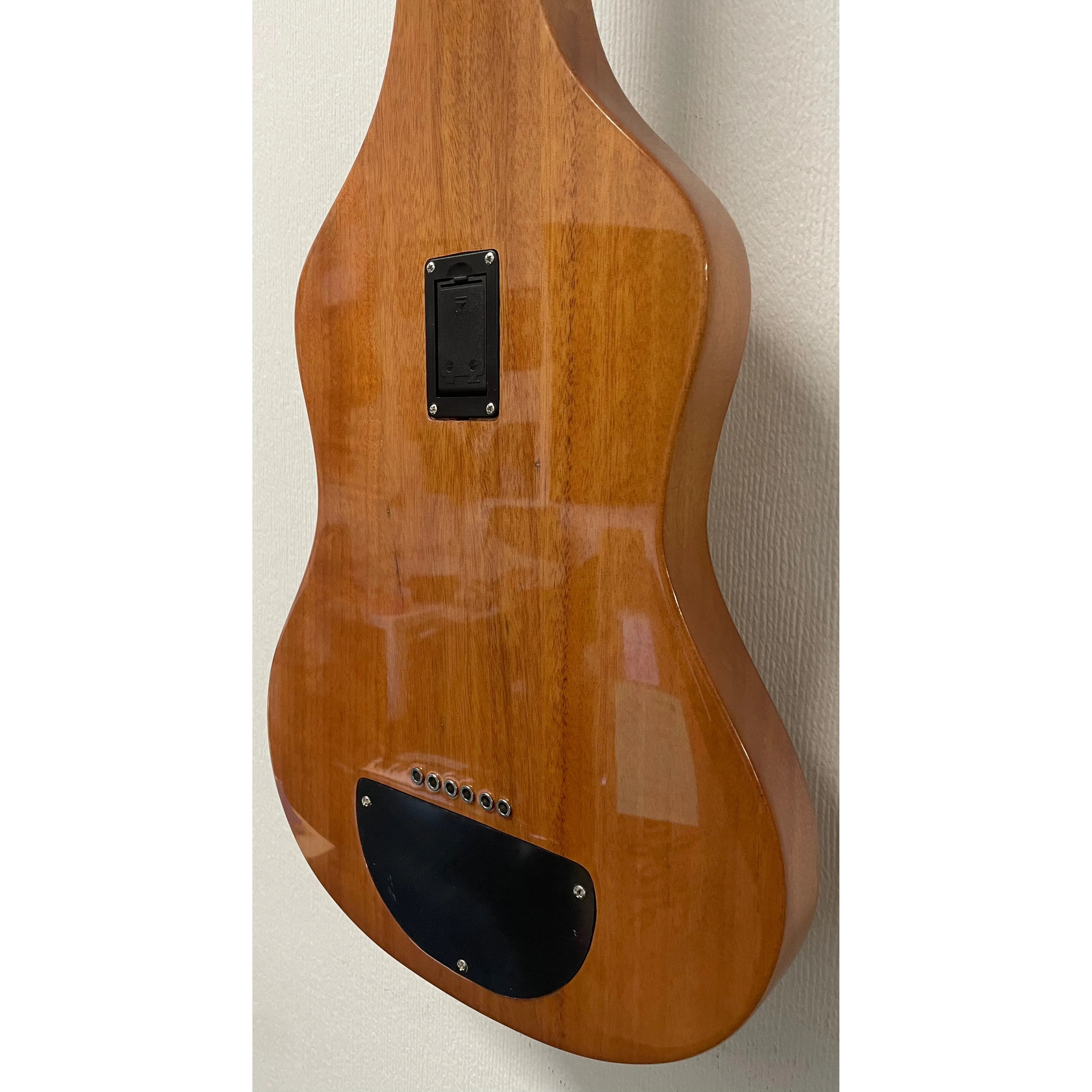 Vorson FLSL-220 Electric Lapsteel with Gigbag Pre-Owned