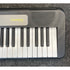 Casio LK-S250 61-Key Portable Keyboard Pre-Owned