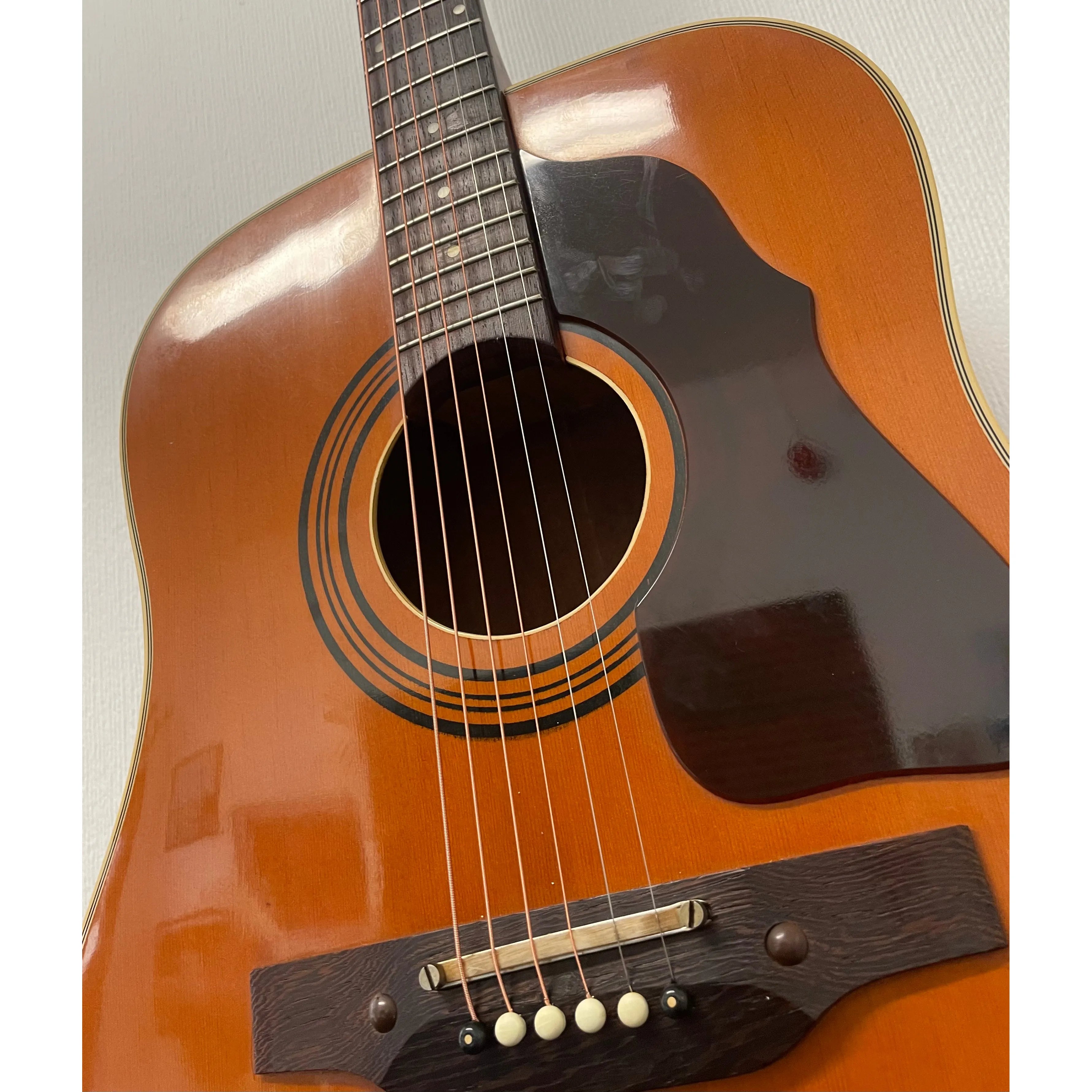 Shaftesbury Rodeo 6 Late 60's/Early 70's Acoustic Guitar Pre-Owned