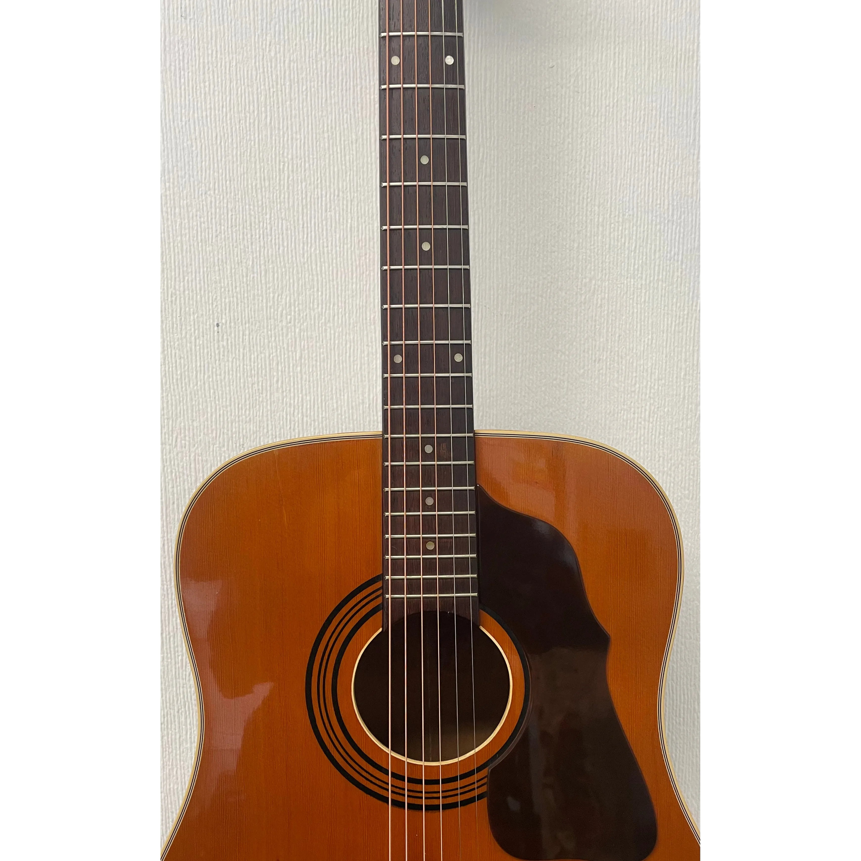 Shaftesbury Rodeo 6 Late 60's/Early 70's Acoustic Guitar Pre-Owned