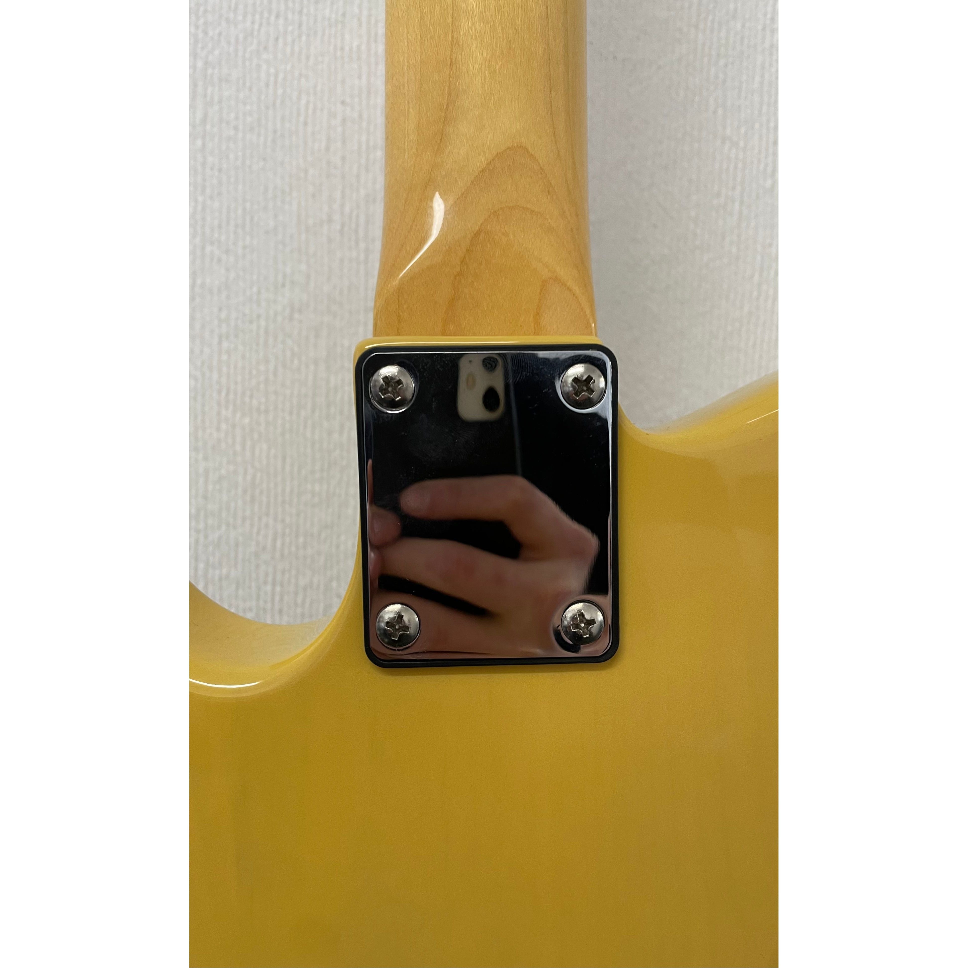 Gary E Levinson Edge Telecaster Style Electric Guitar in Butterscotch Blonde with Gigbag Pre-Owned