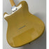 Gary E Levinson Edge Telecaster Style Electric Guitar in Butterscotch Blonde with Gigbag Pre-Owned