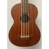 Snail SUBBAS10 Electro Acoustic Ukulele Bass in Natural with Original Gigbag Pre-Owned